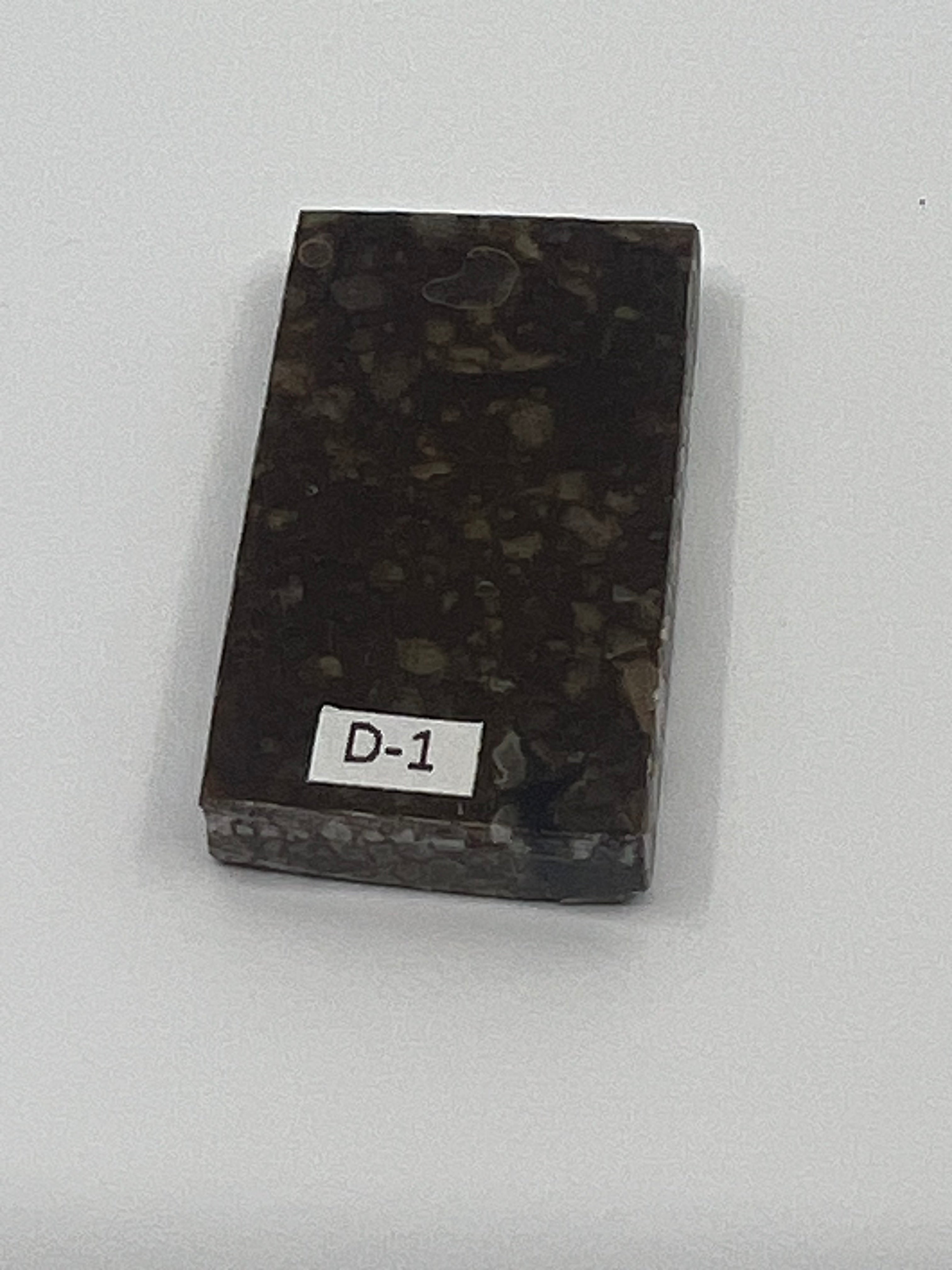Dinosaur Fossil D1