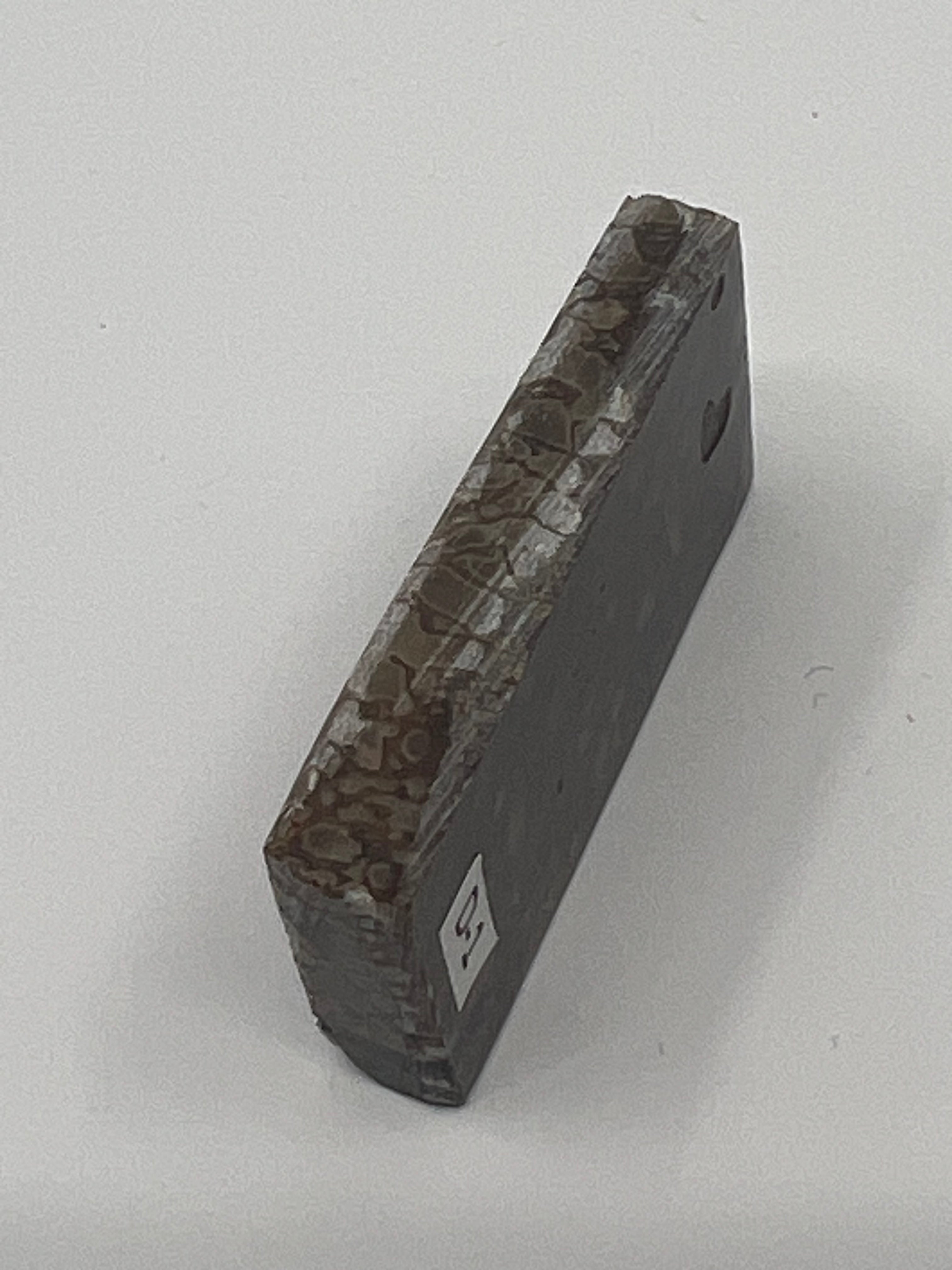 Dinosaur Fossil D1