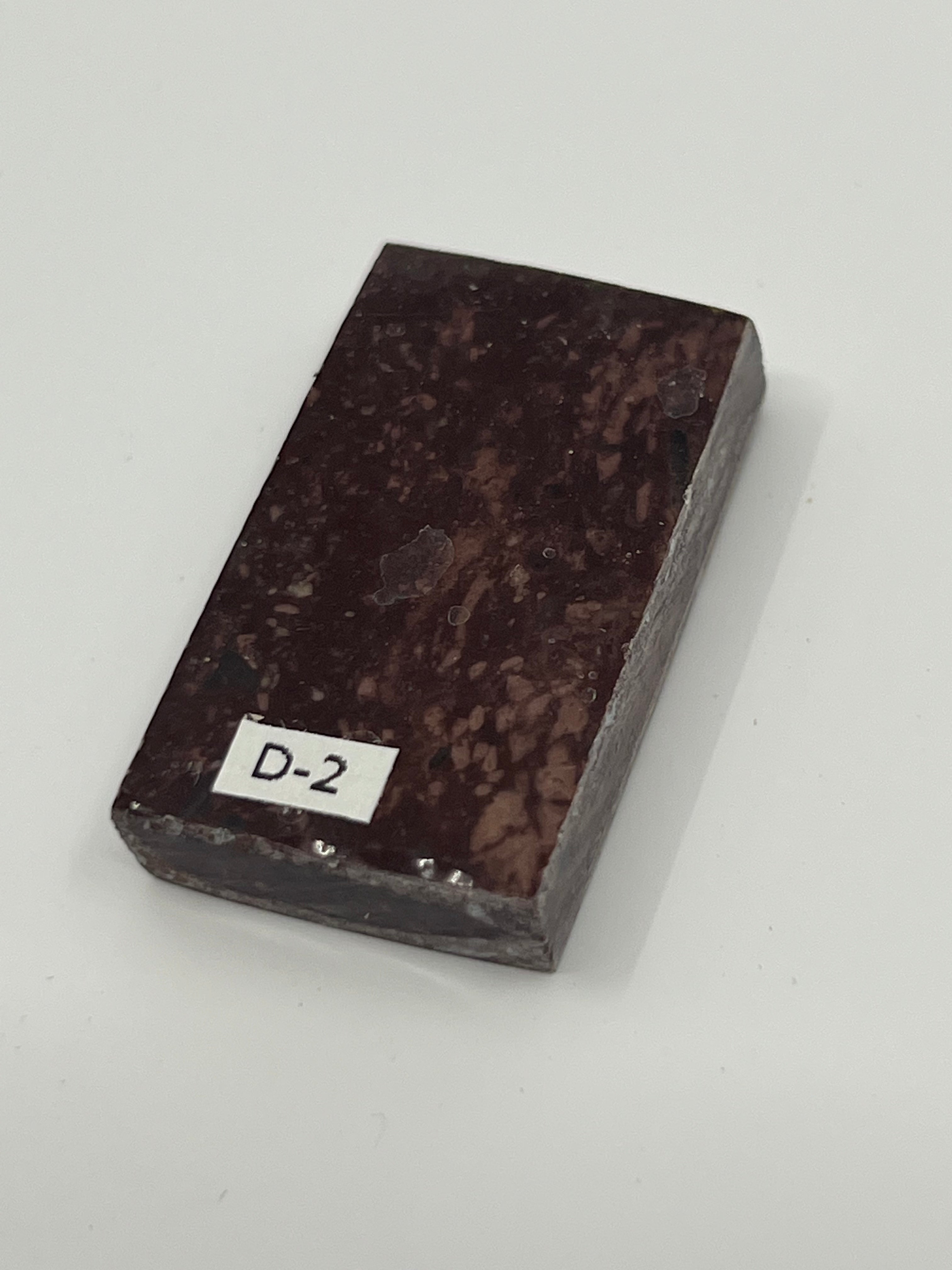 Dinosaur Fossil D2