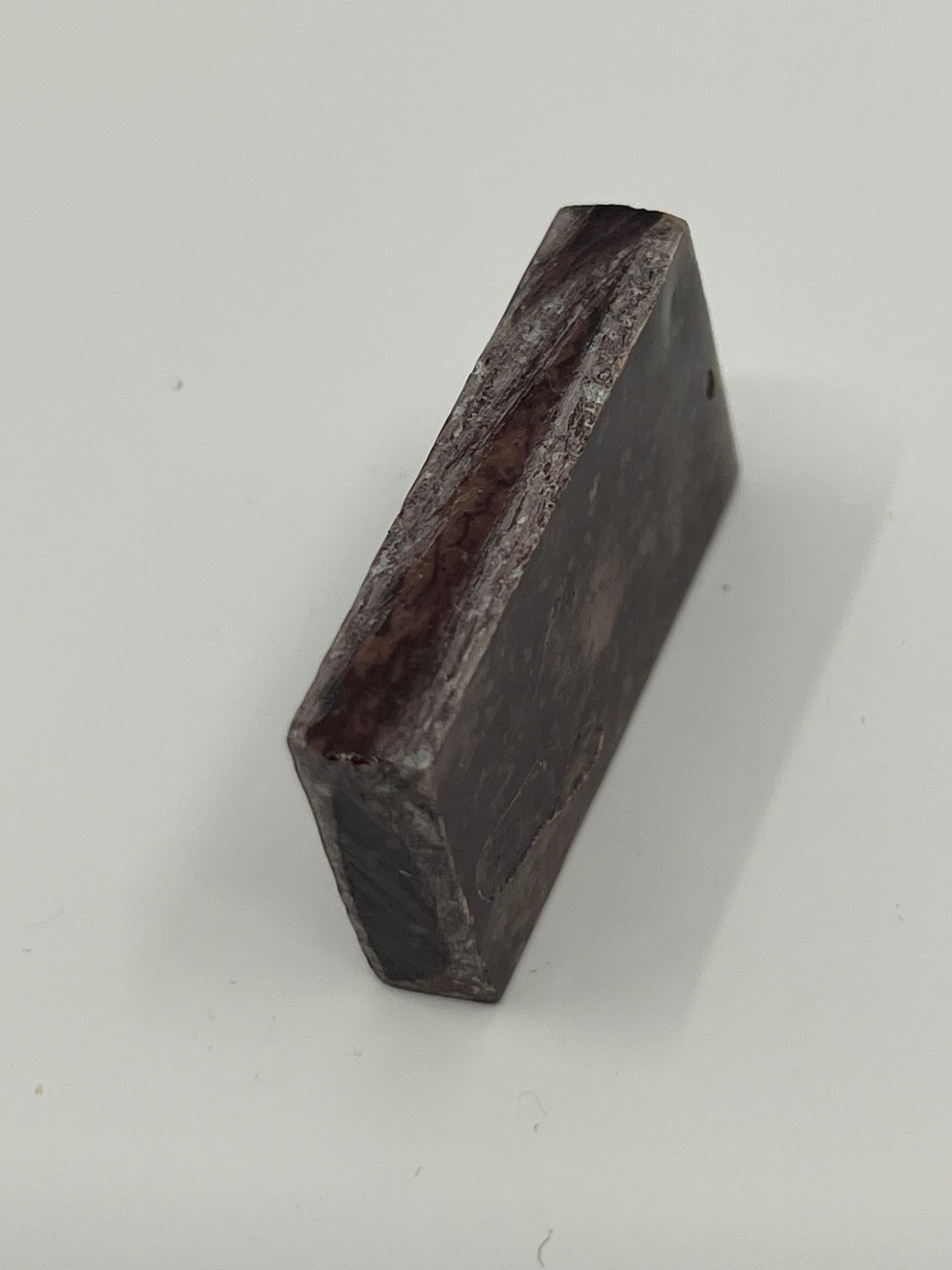 Dinosaur Fossil D2