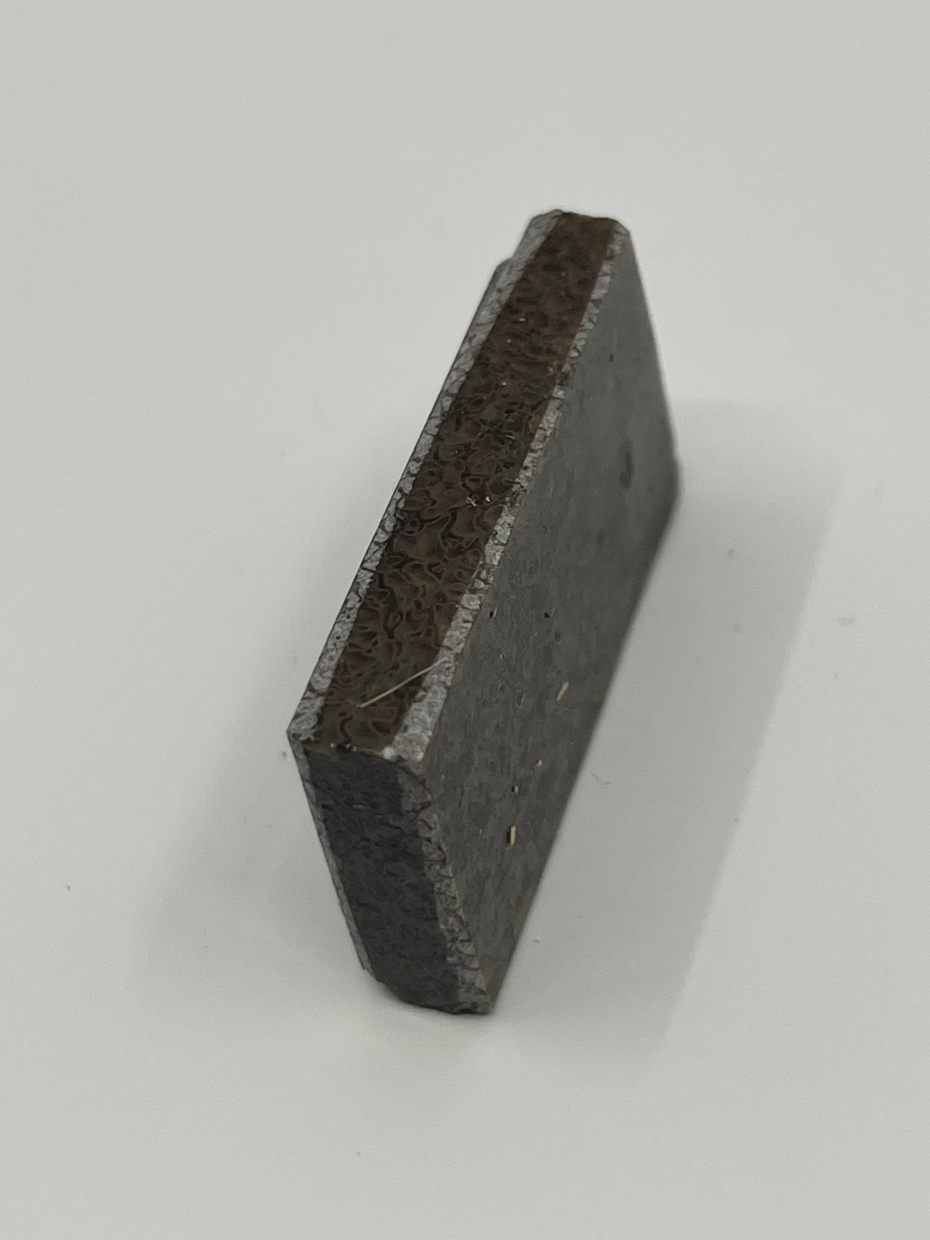 Dinosaur Fossil D3
