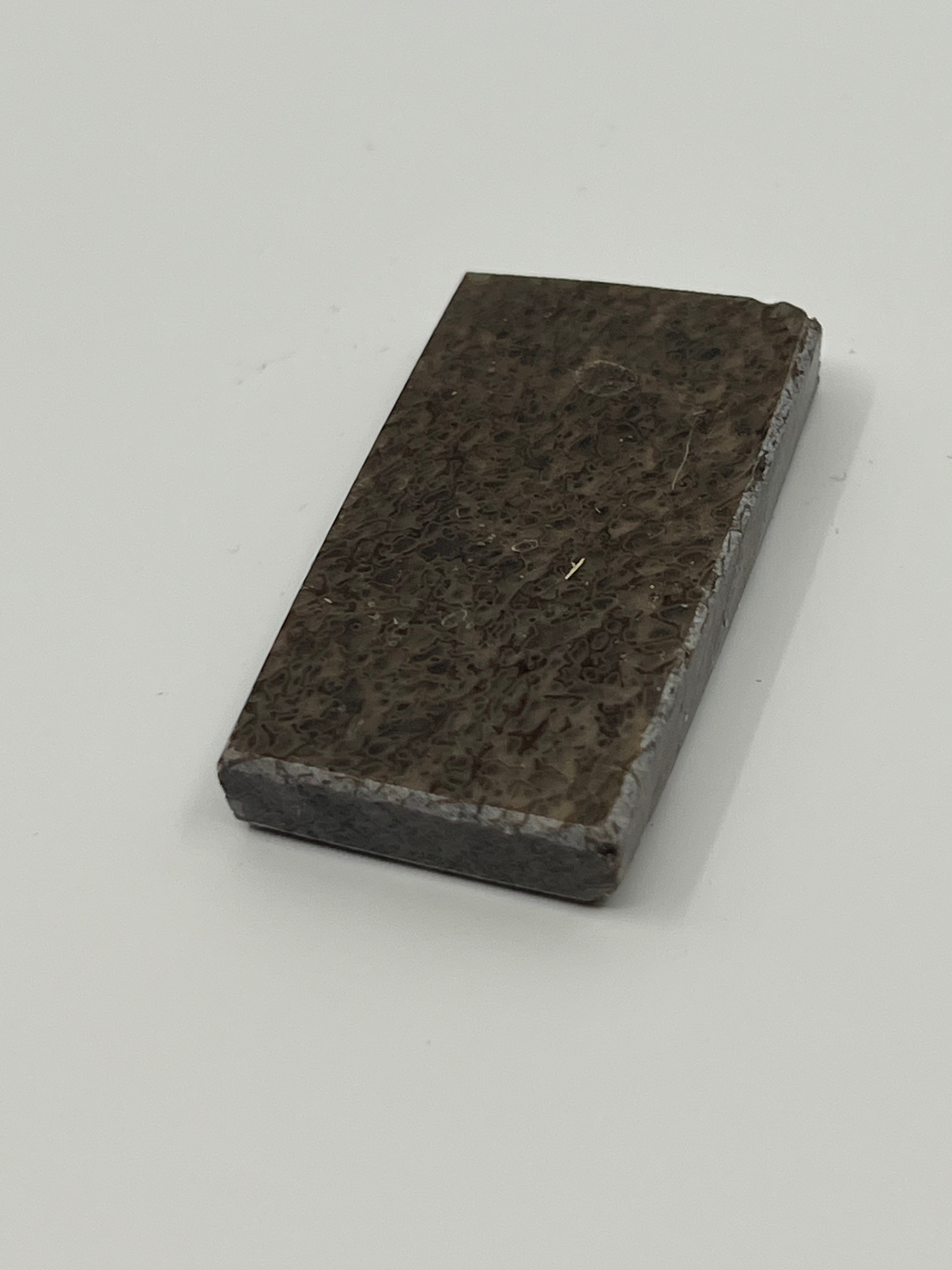 Dinosaur Fossil D3
