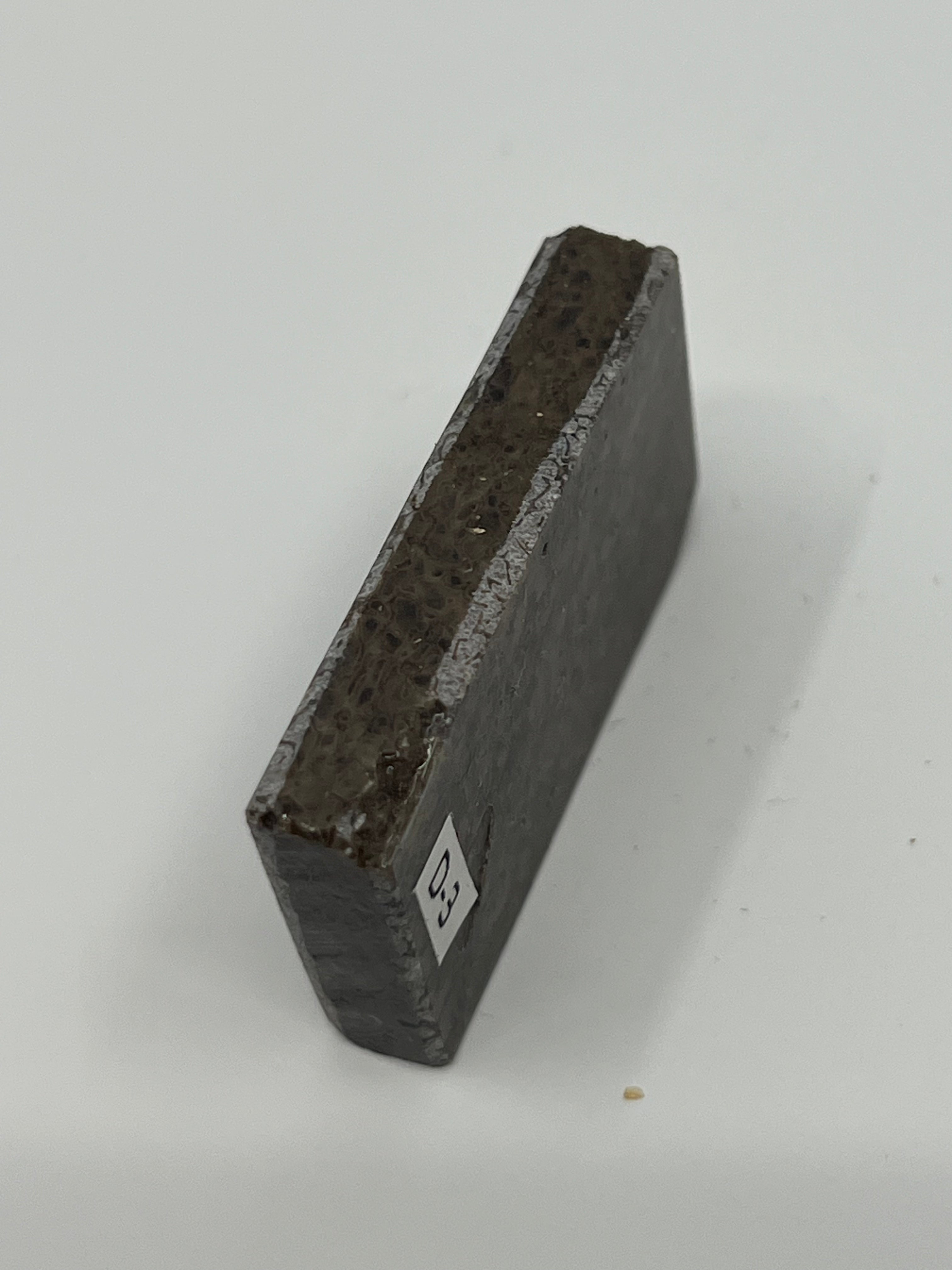 Dinosaur Fossil D3