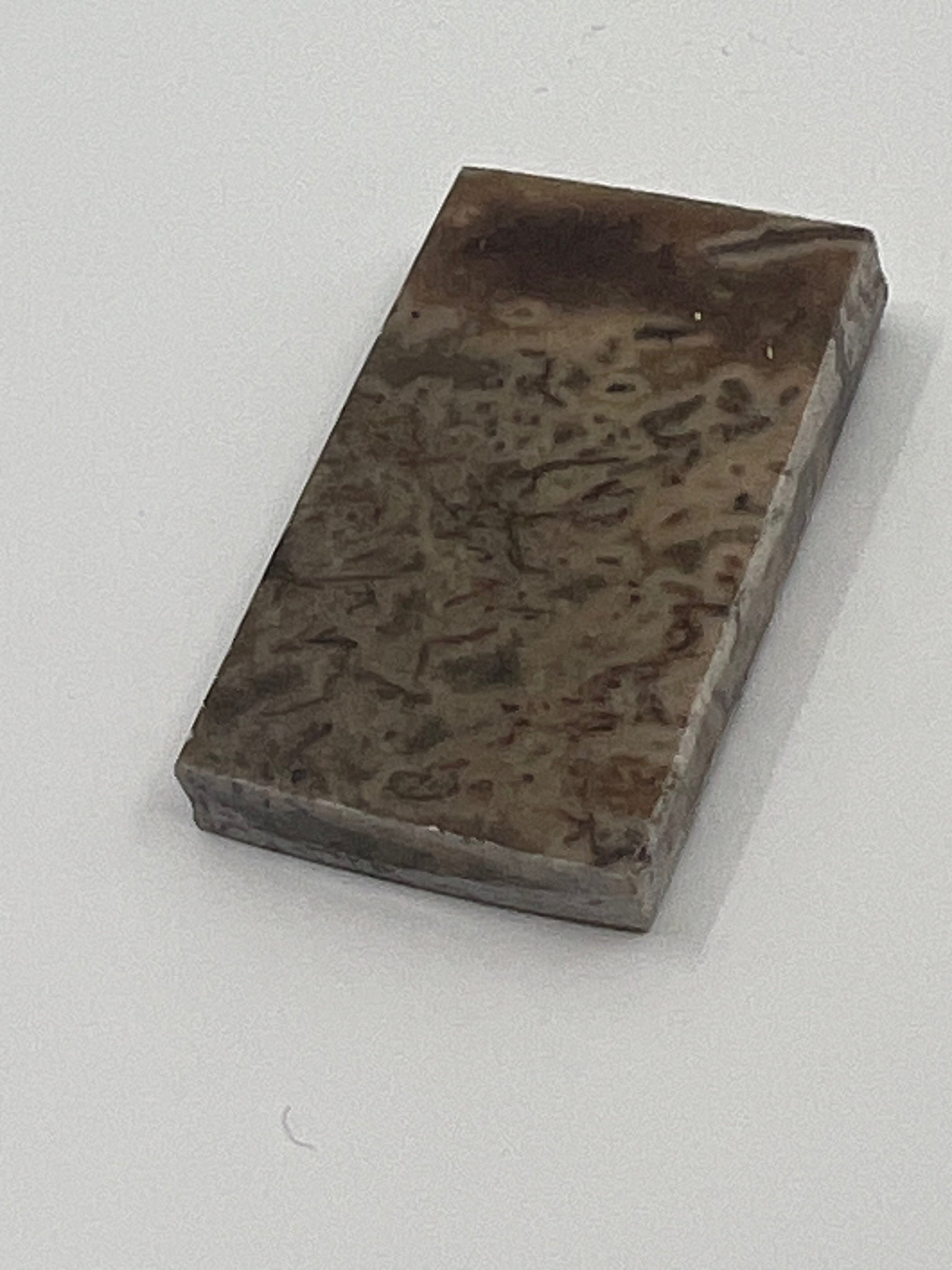 Dinosaur Fossil D4