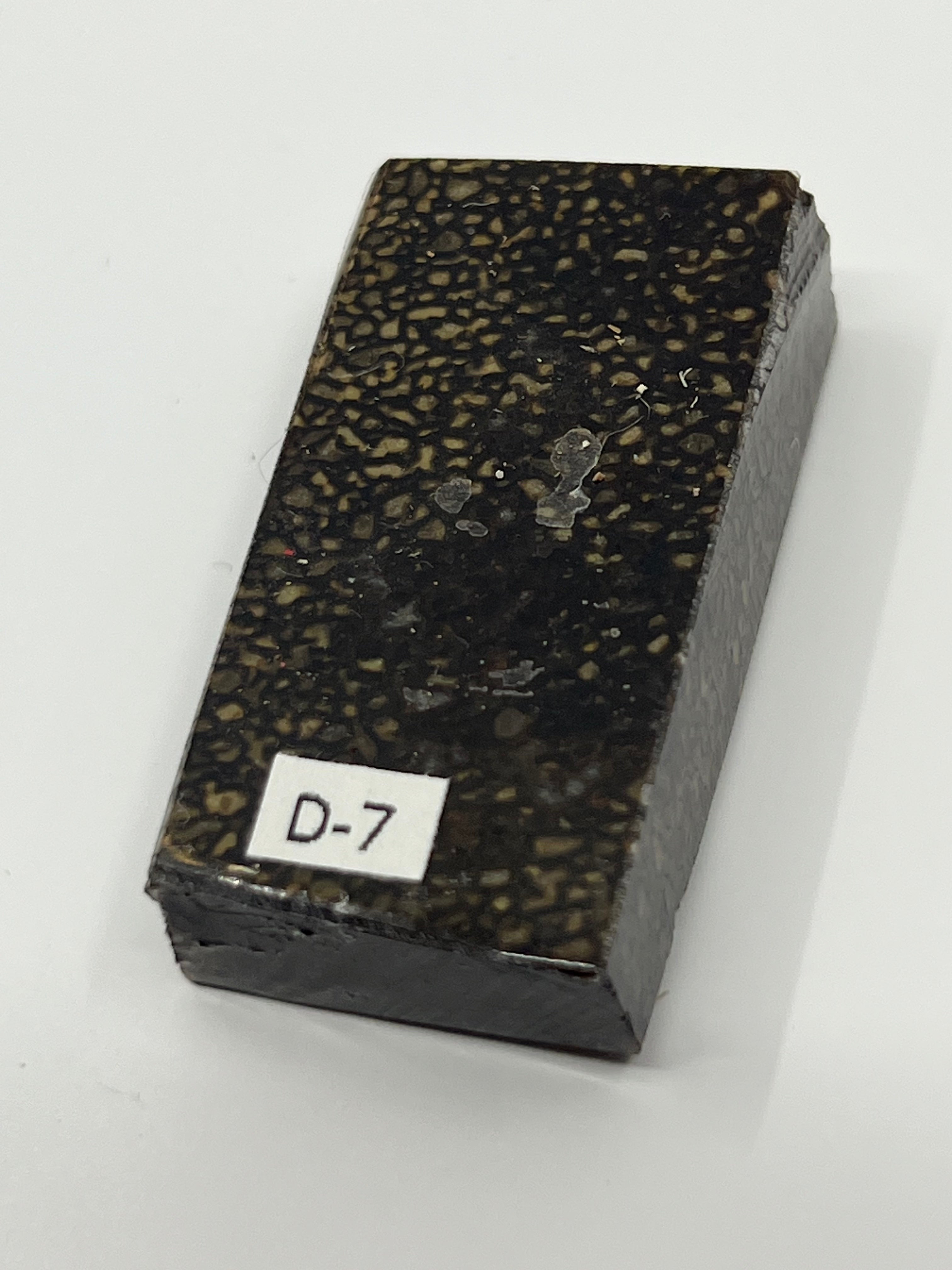 Dinosaur Fossil D7