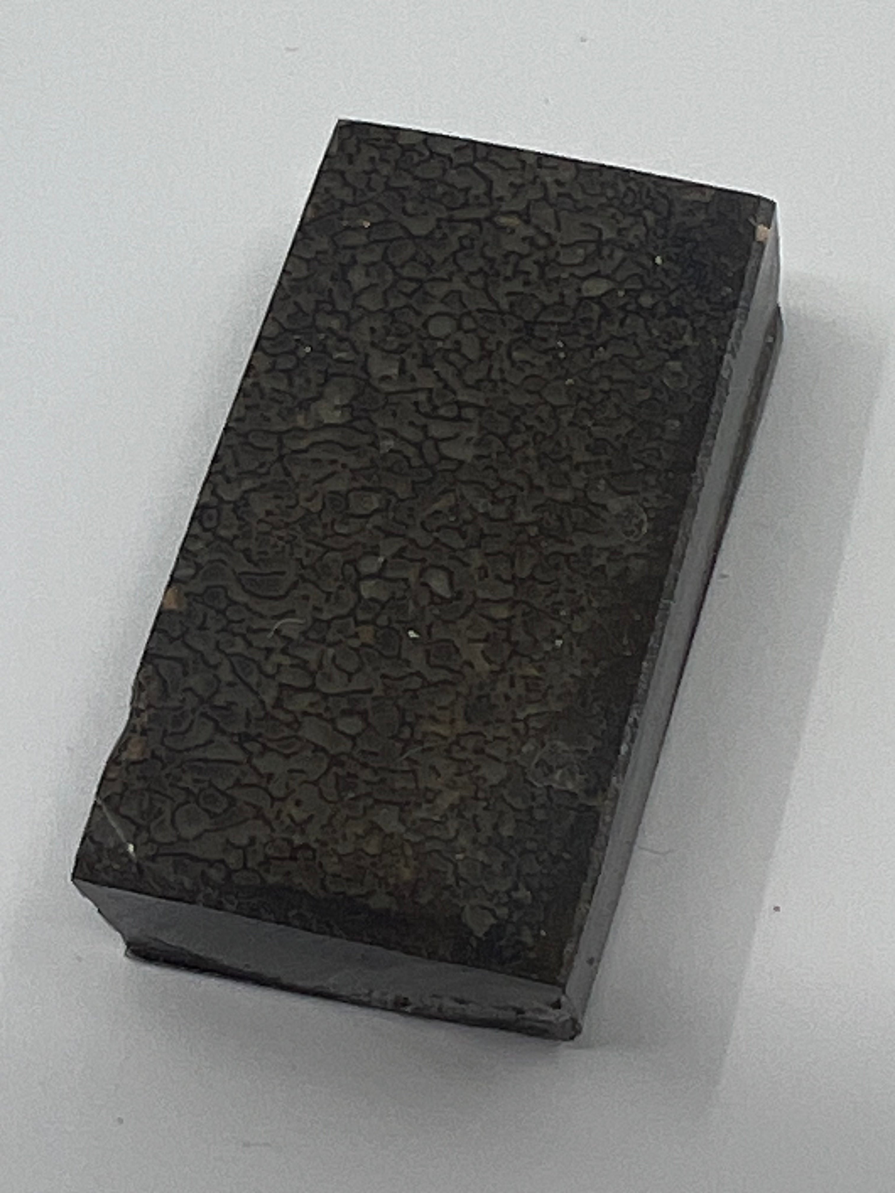 Dinosaur Fossil D7