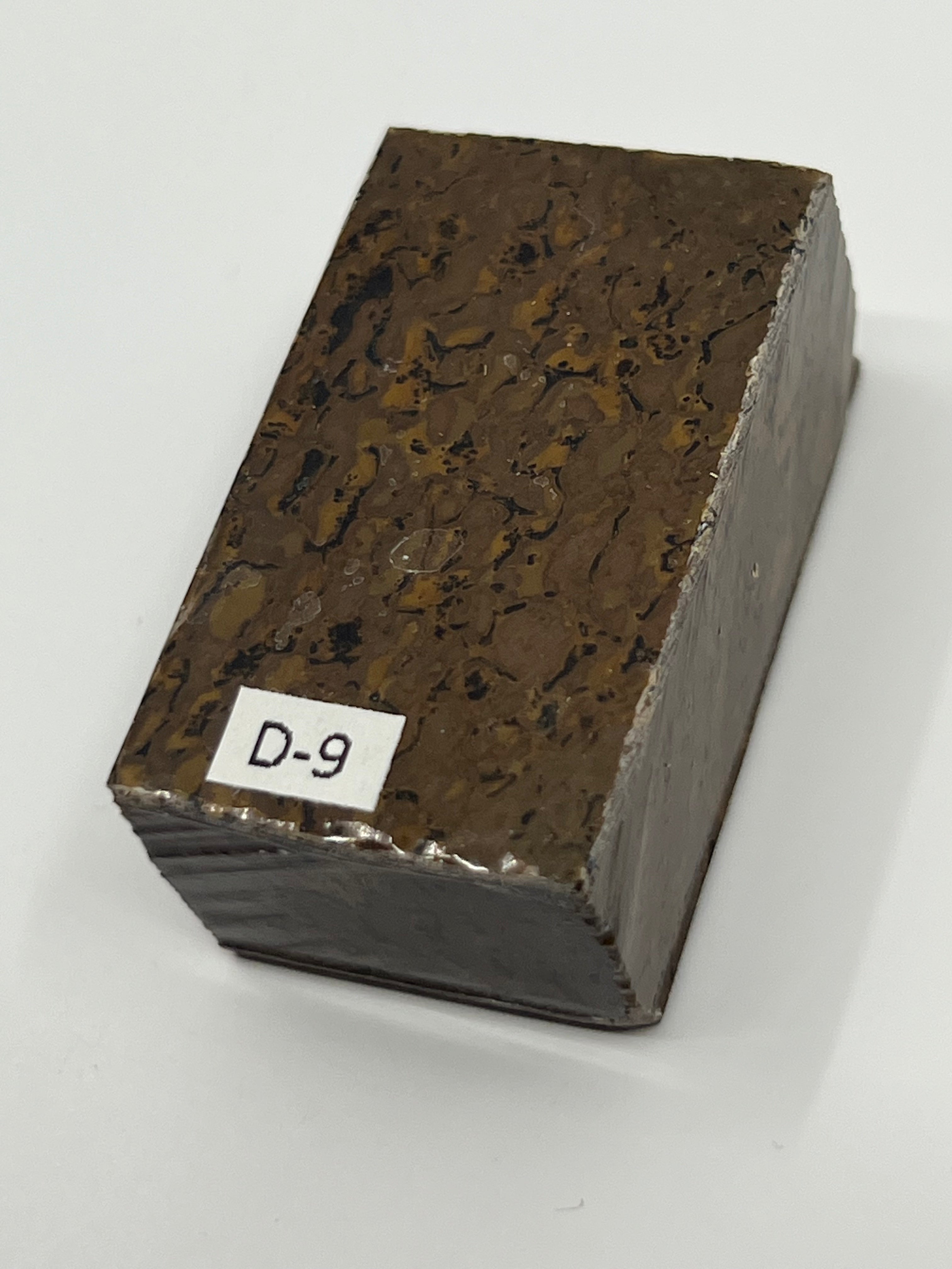 Dinosaur Fossil D9