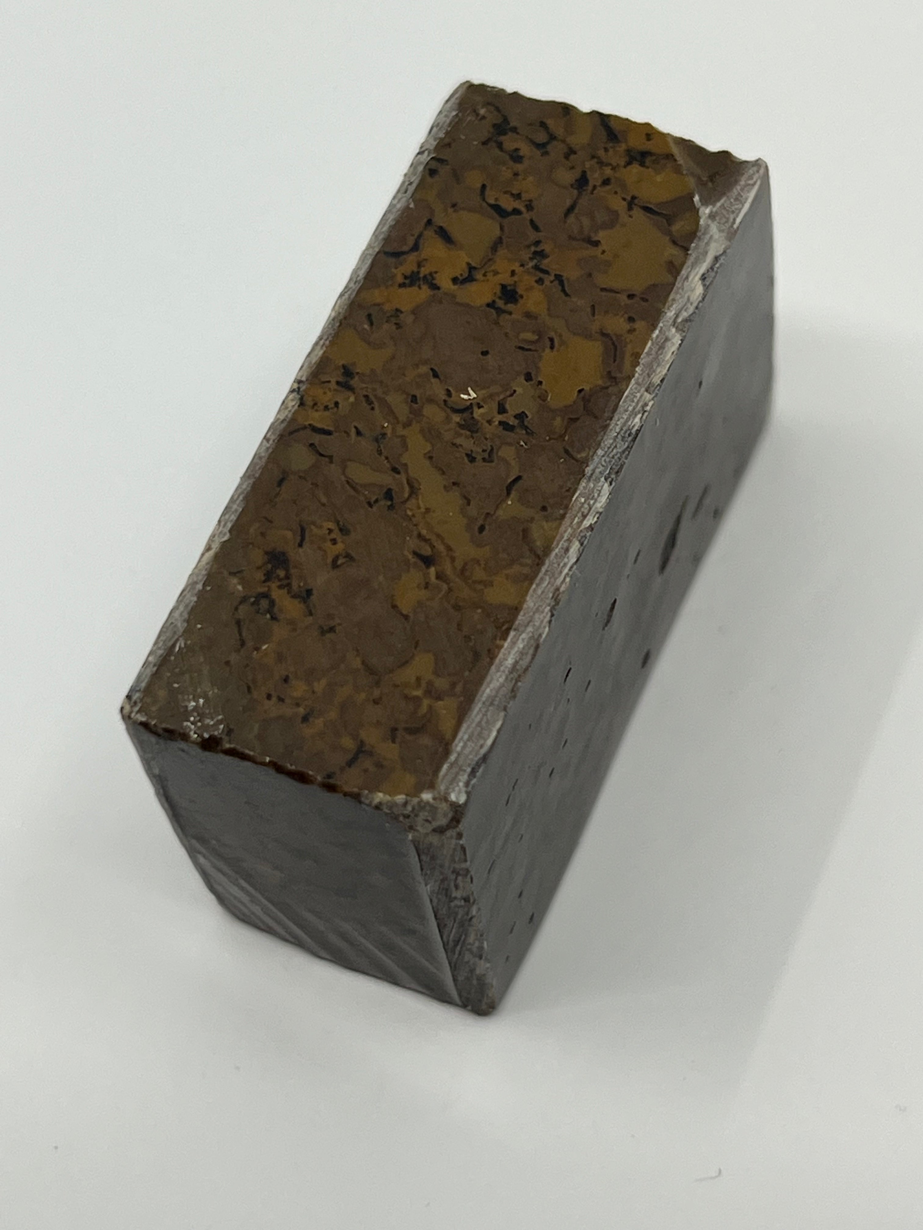 Dinosaur Fossil D9