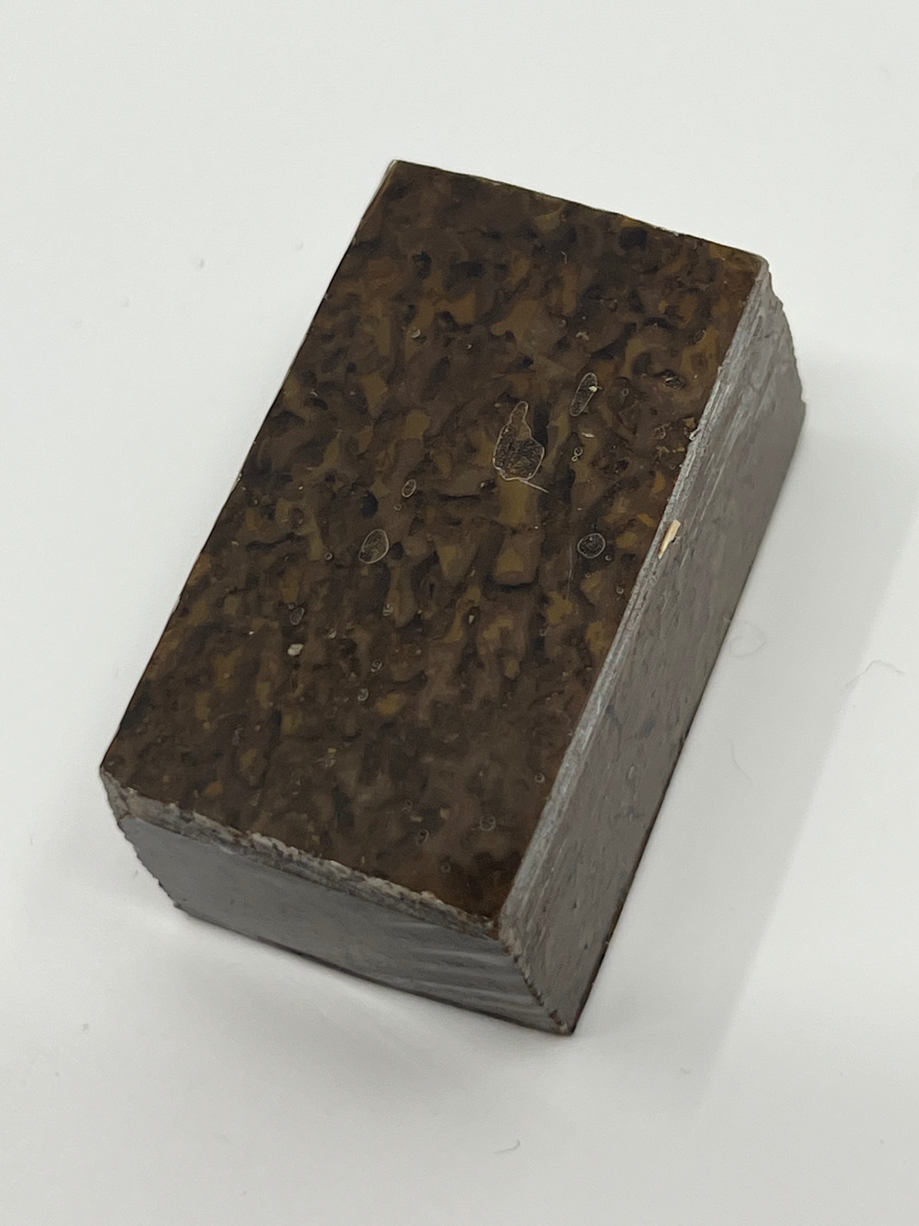 Dinosaur Fossil D9