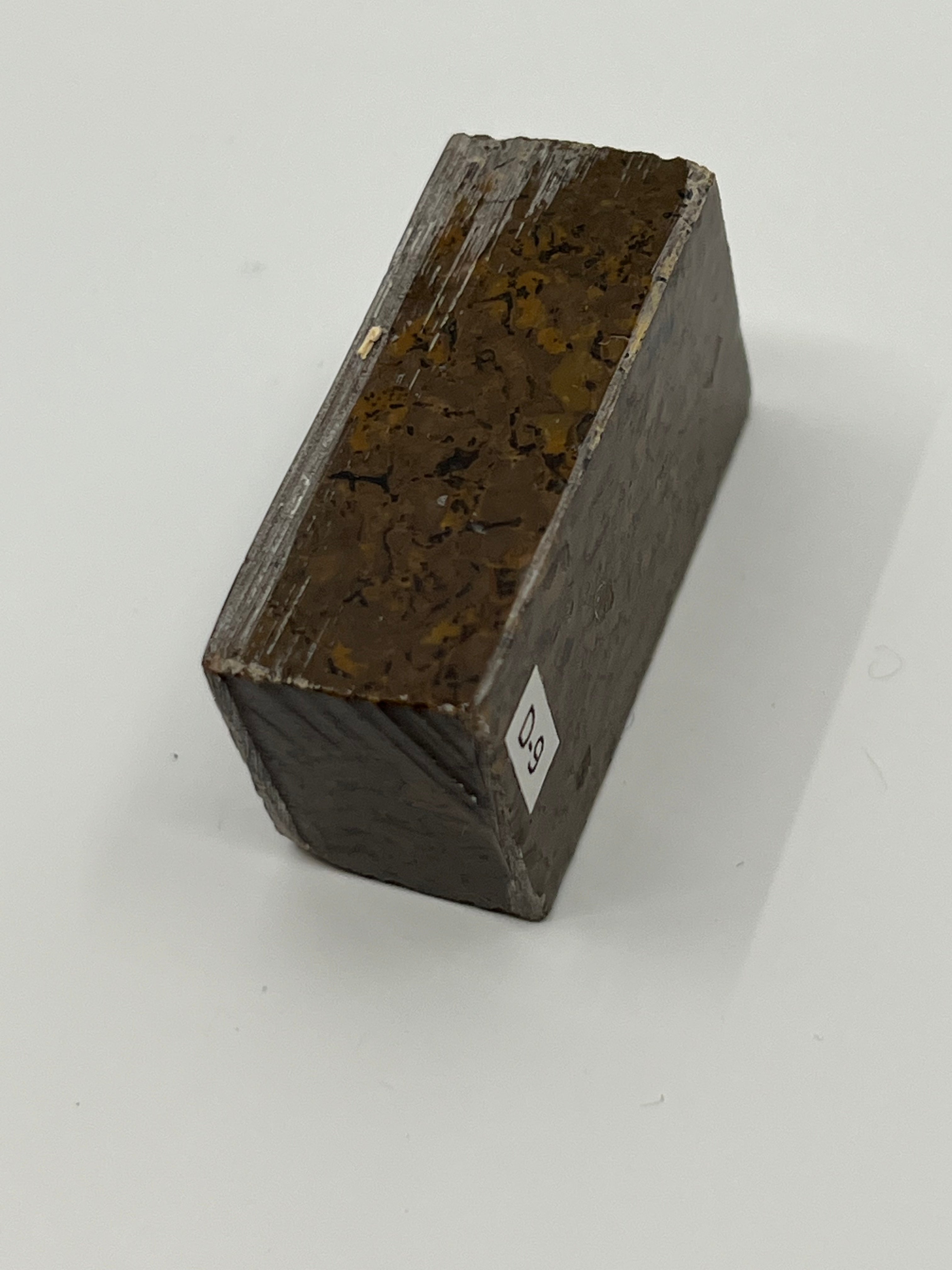 Dinosaur Fossil D9