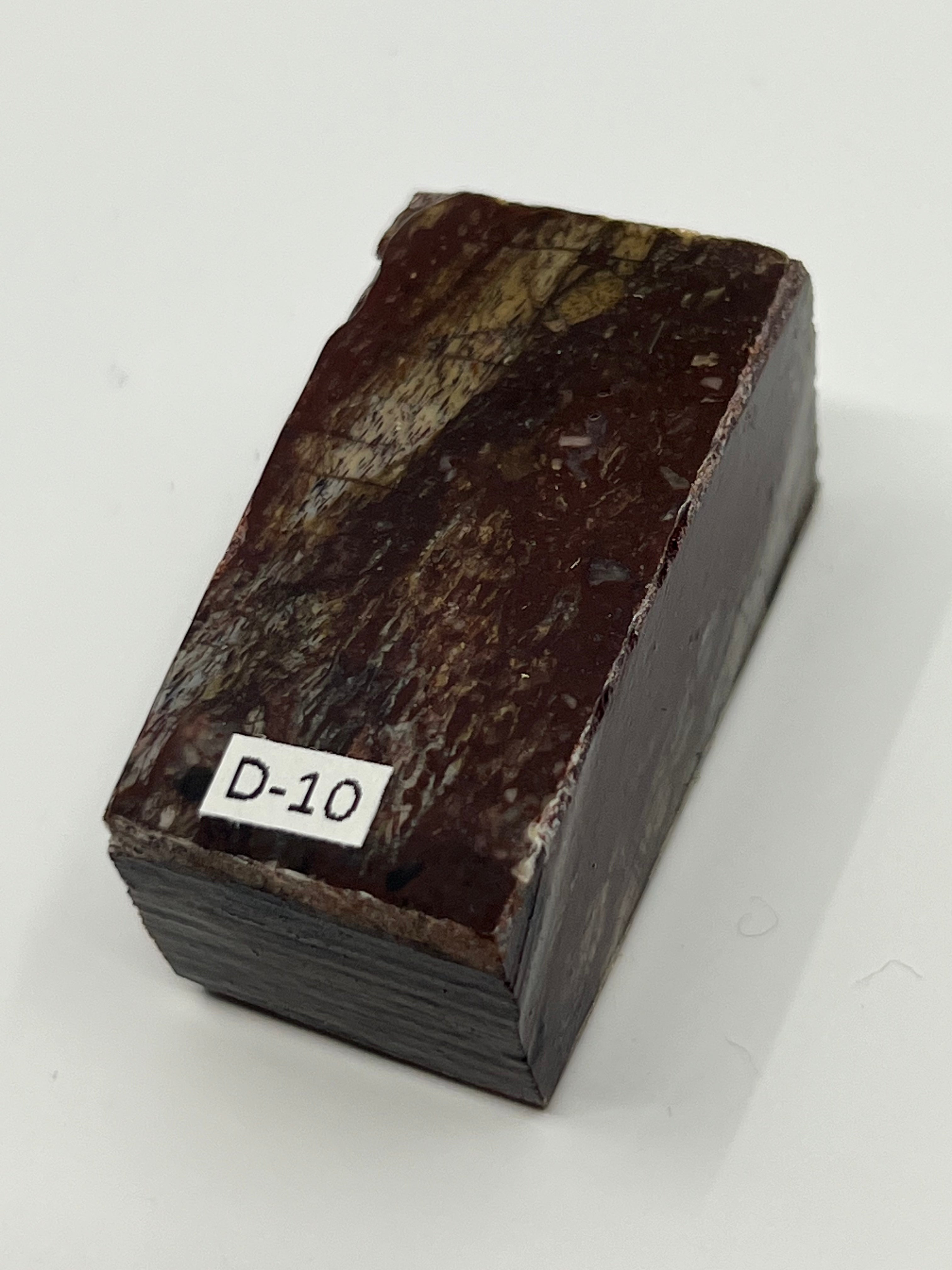 Dinosaur Fossil D10
