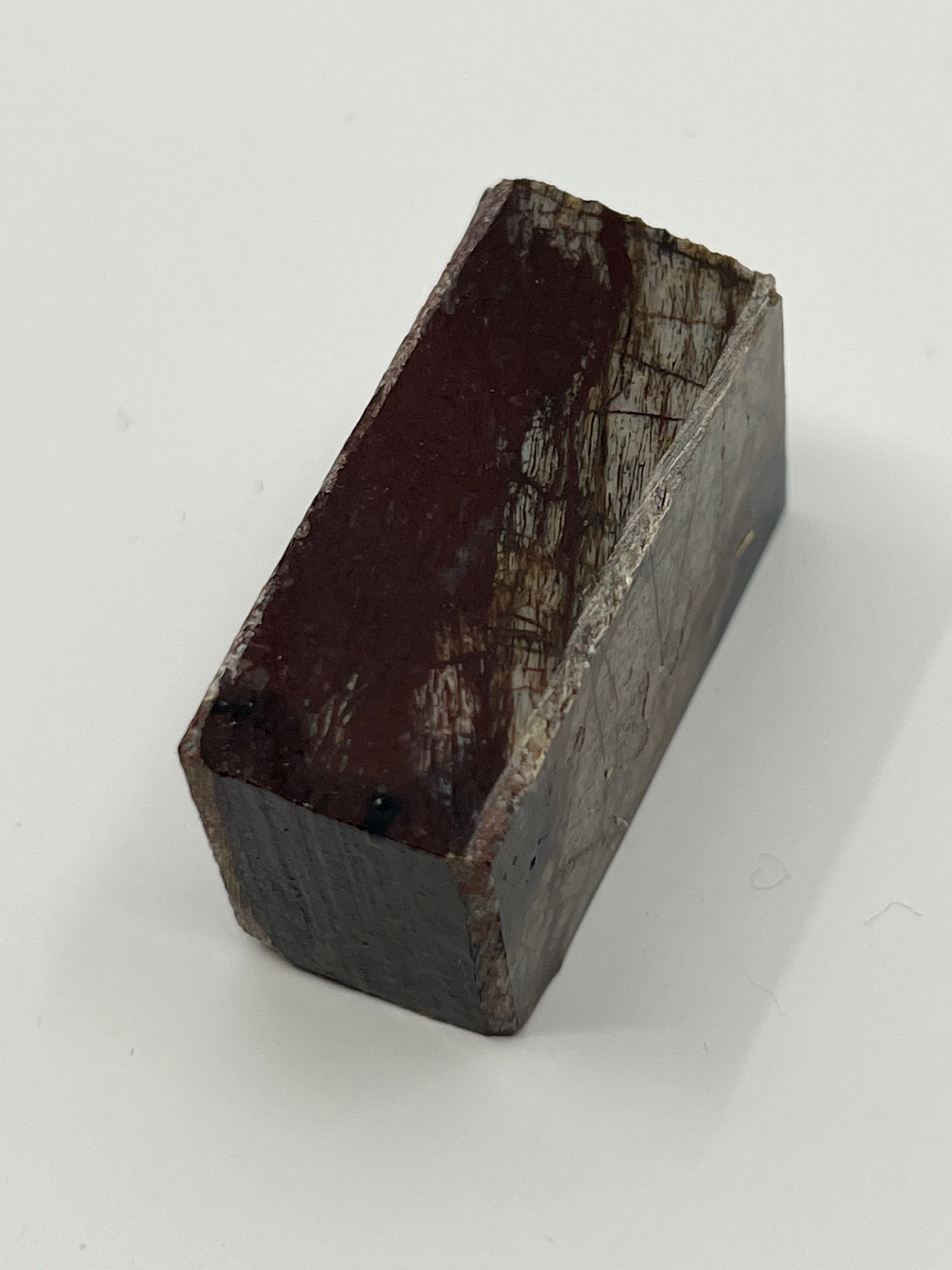 Dinosaur Fossil D10