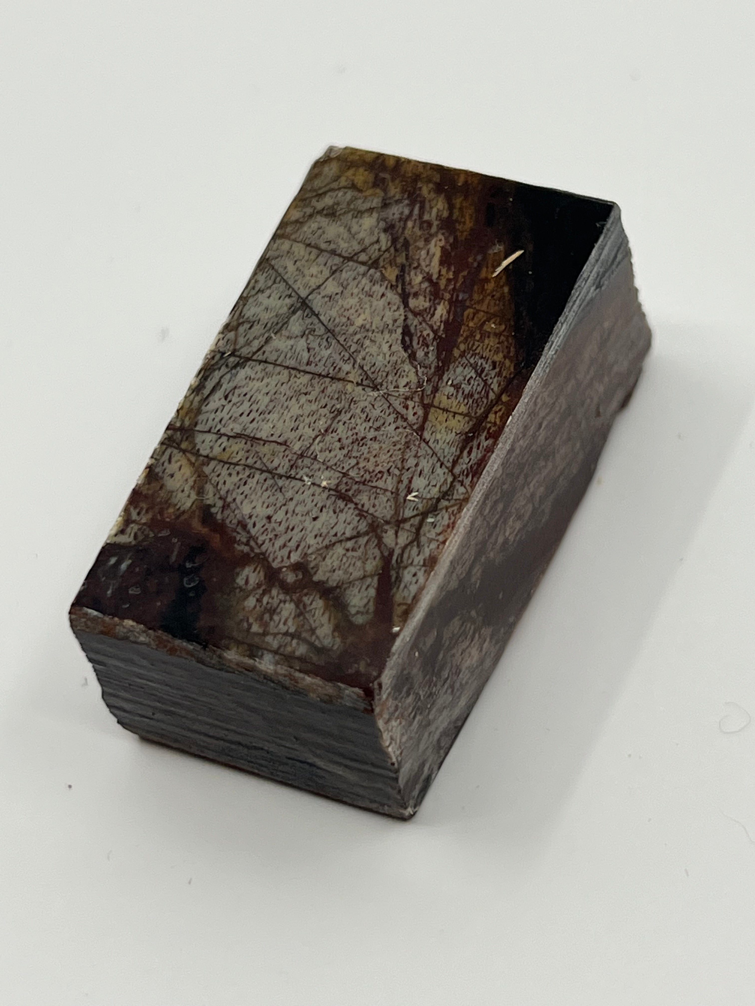Dinosaur Fossil D10