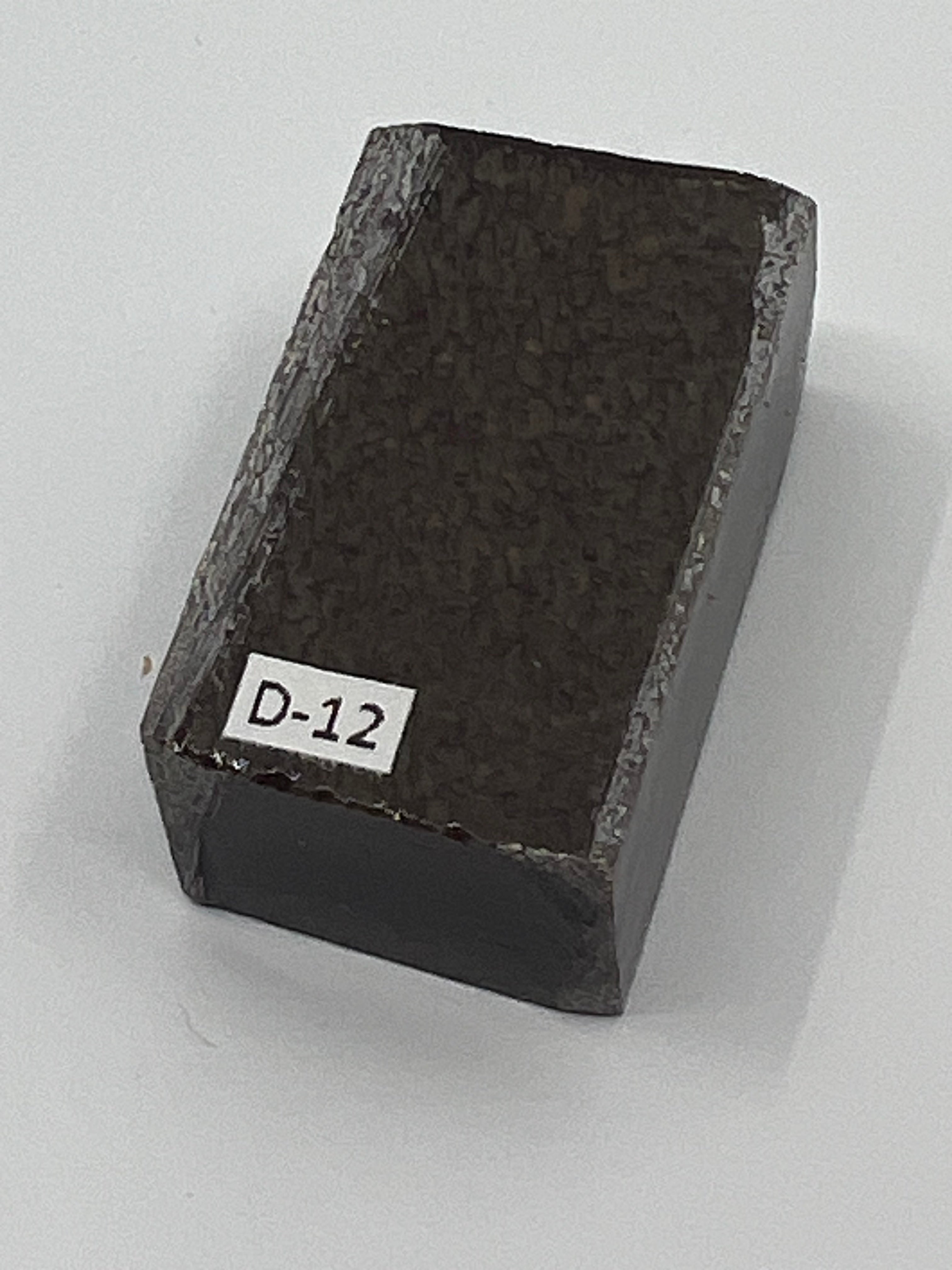 Dinosaur Fossil D12
