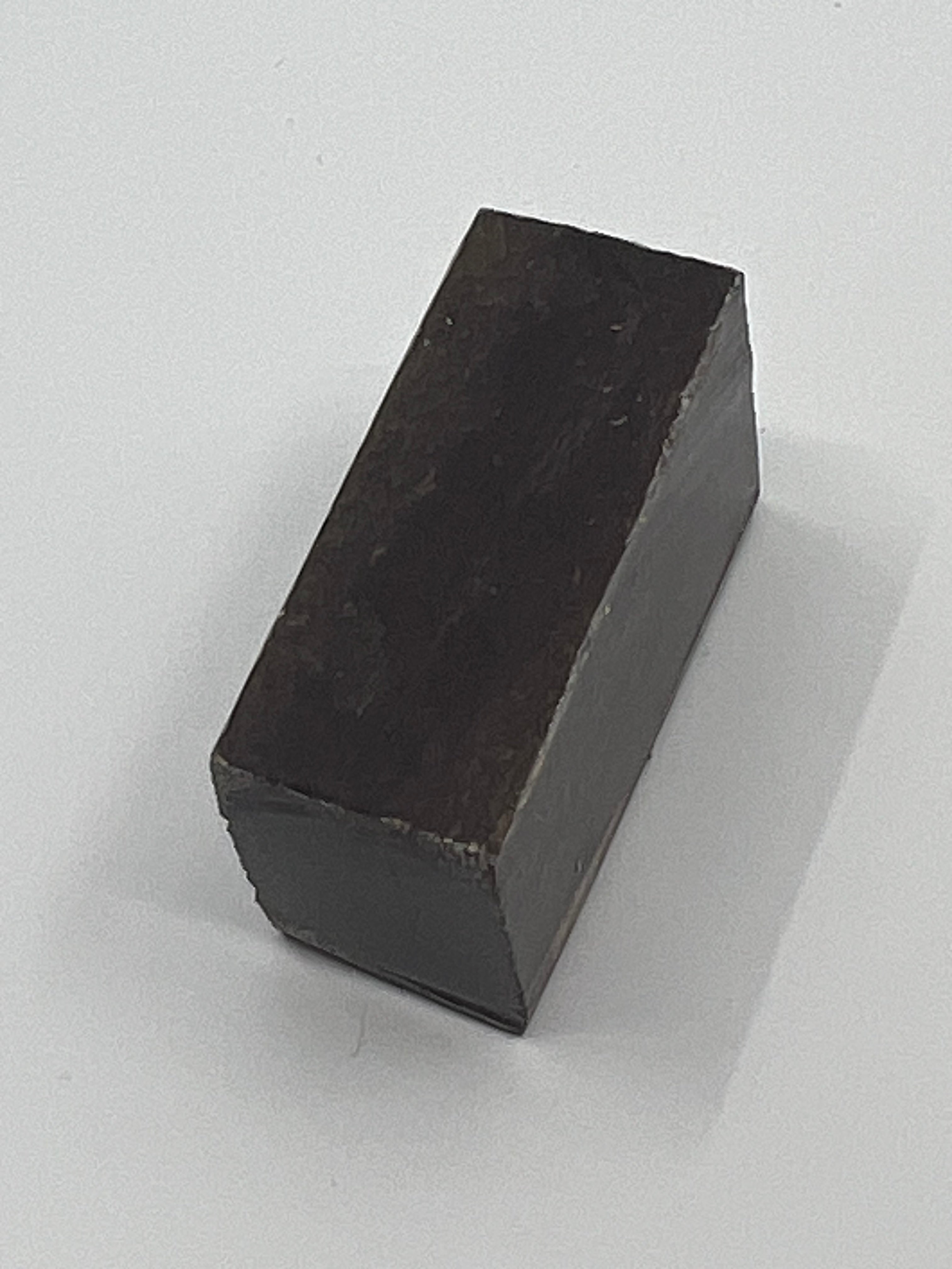 Dinosaur Fossil D12