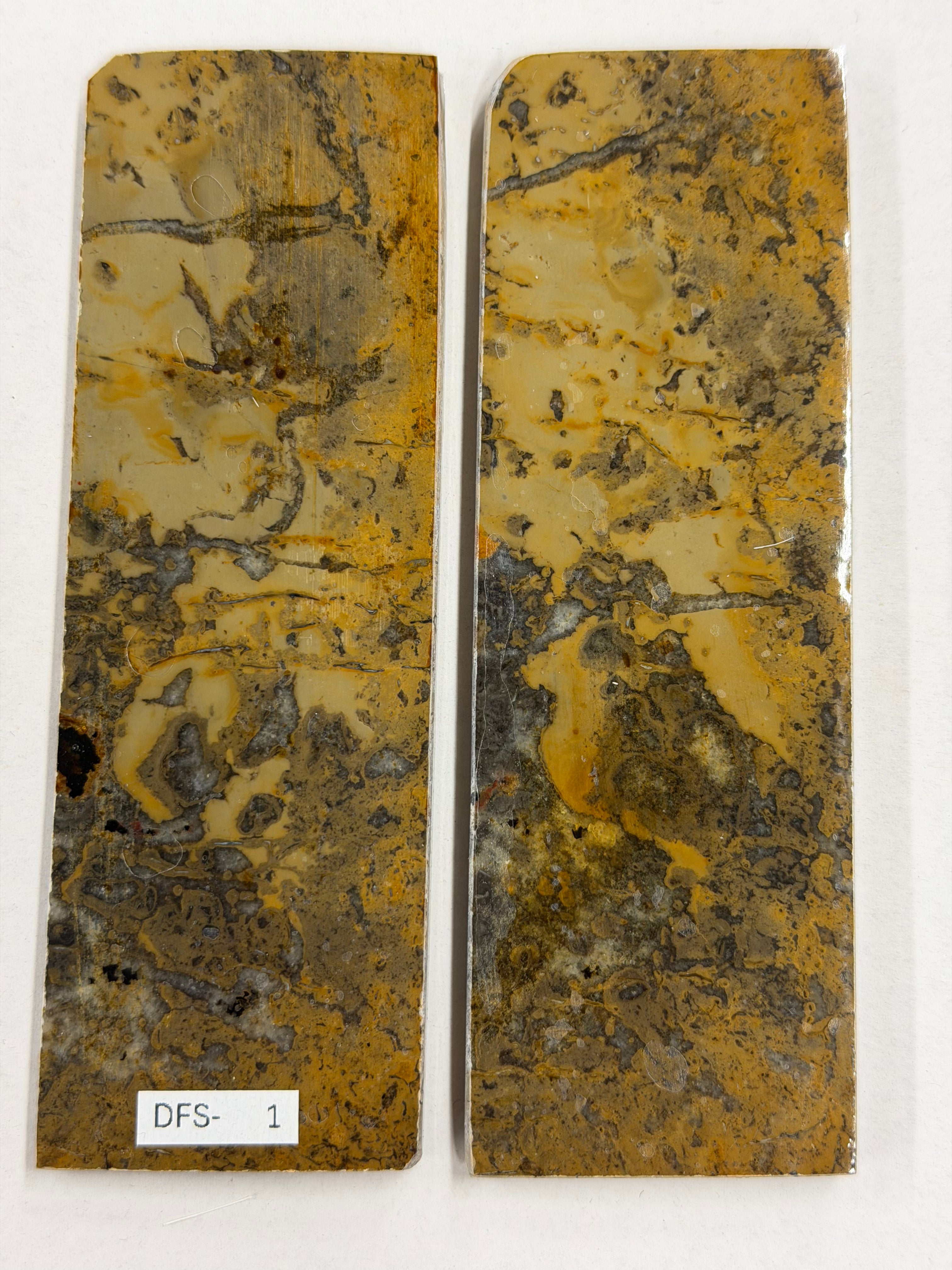 Dinosaur Fossil Shaft Plate Set DFS-1