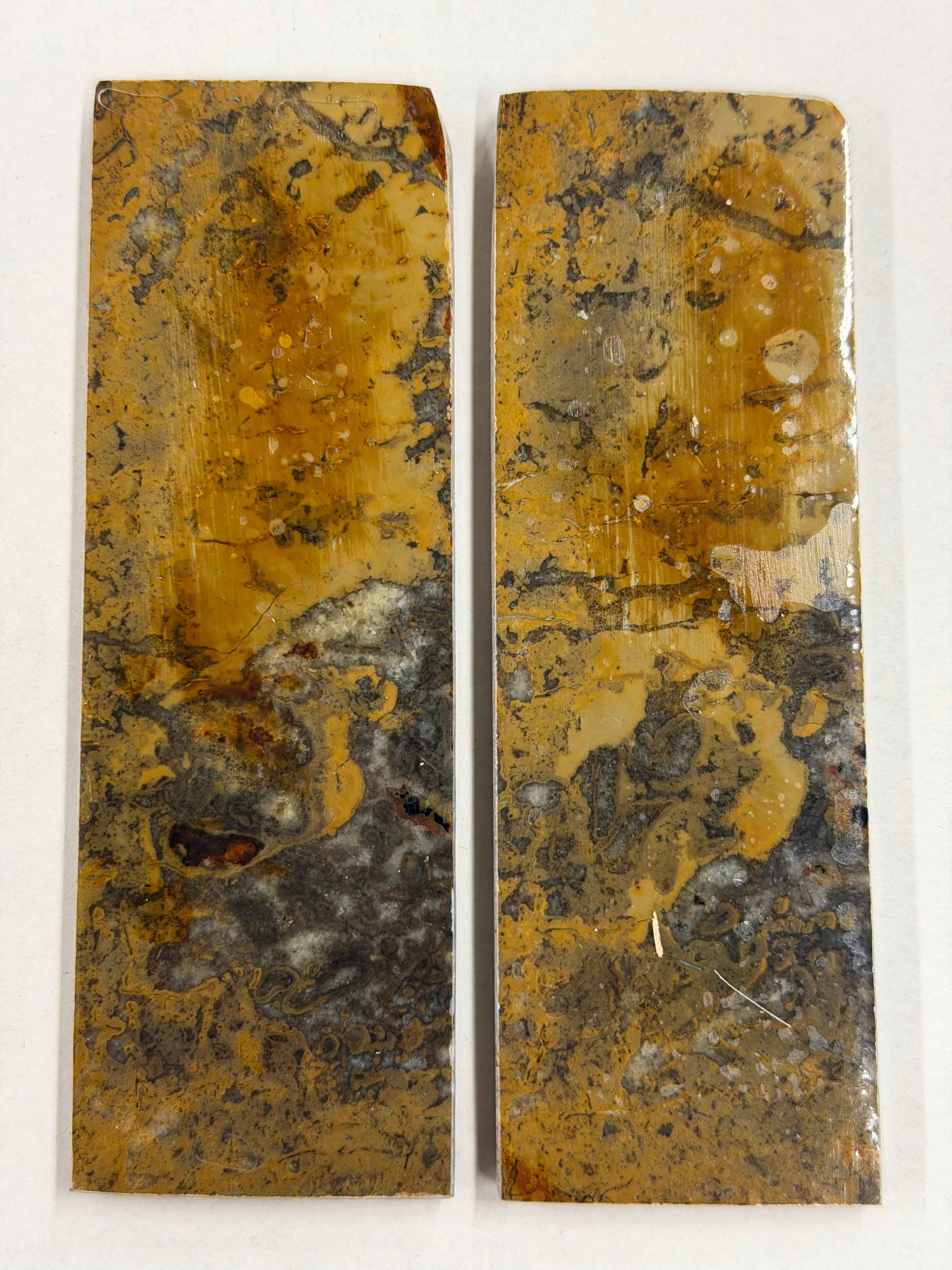 Dinosaur Fossil Shaft Plate Set DFS-1