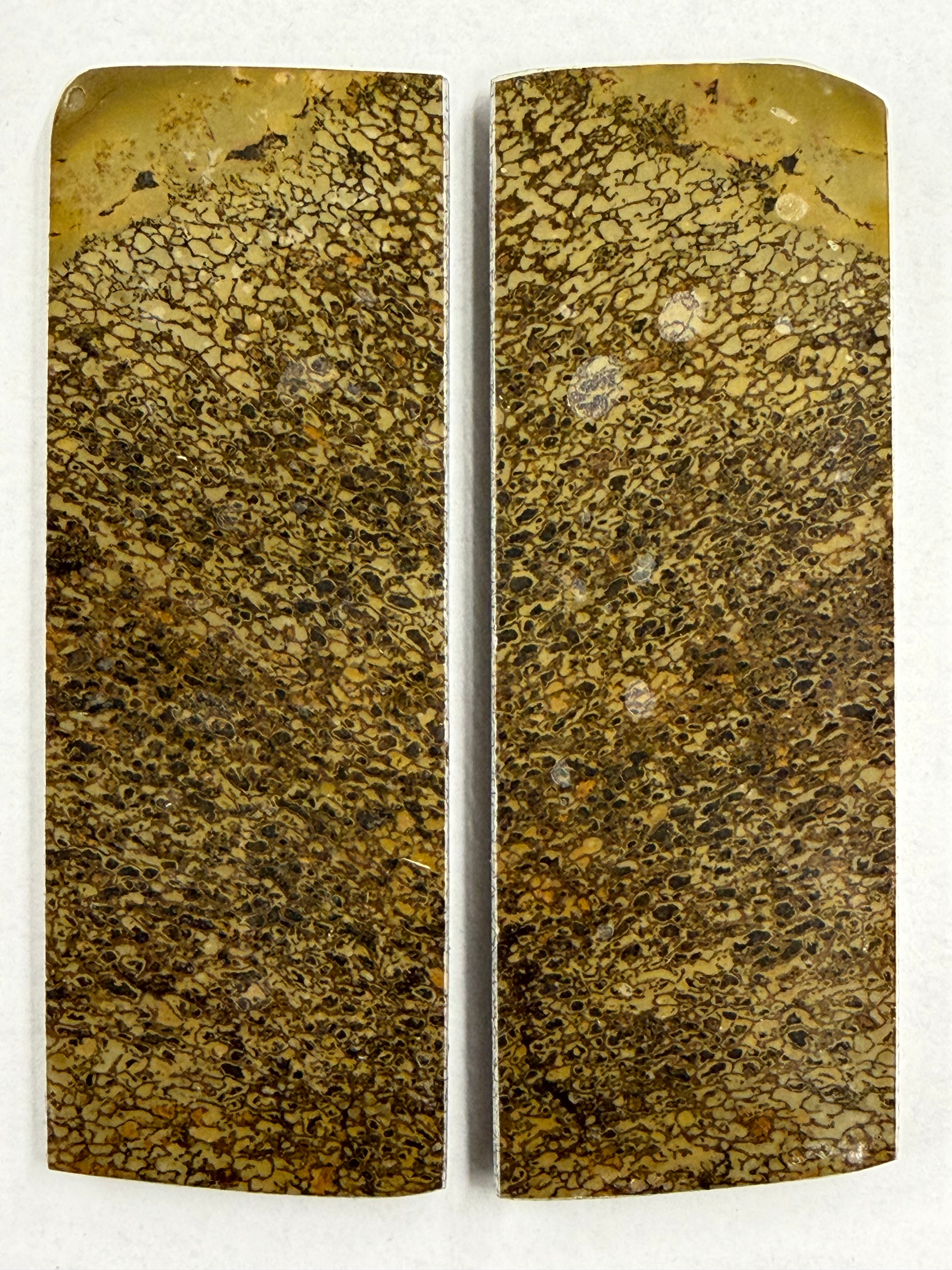 Dinosaur Fossil Skaftplatesett DFS-3