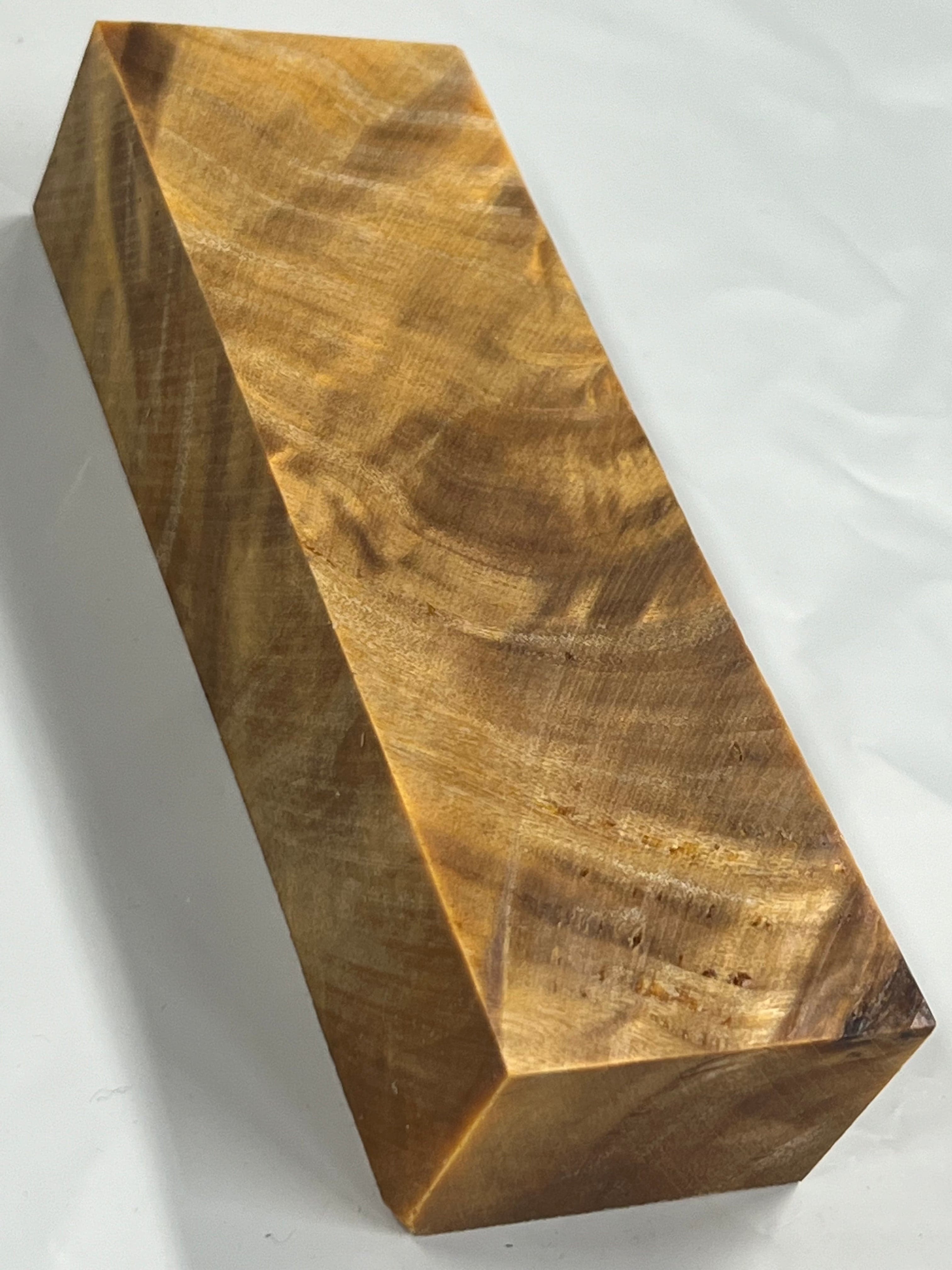 Flame Poplar - Orange