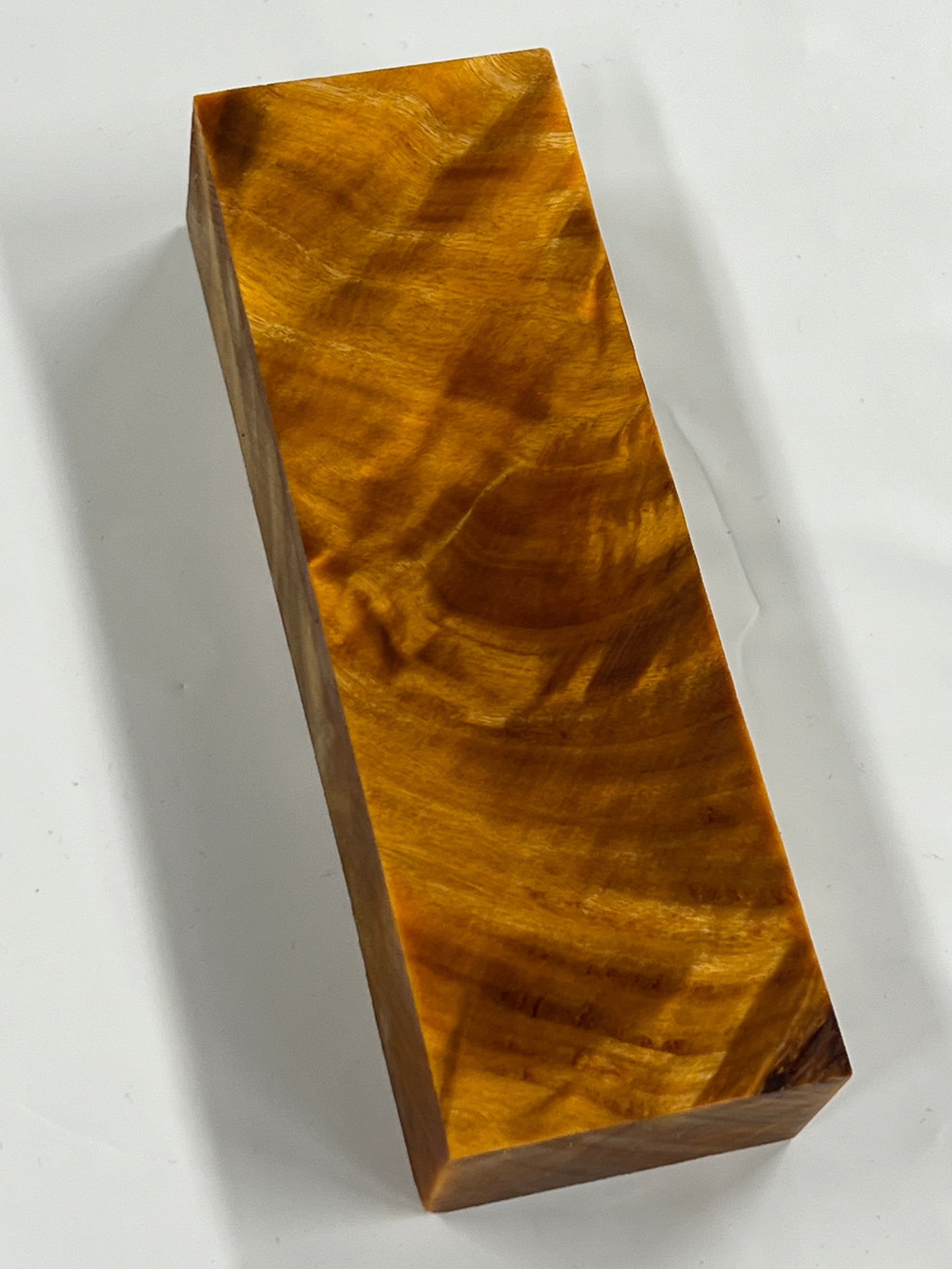 Flame Poplar - Orange