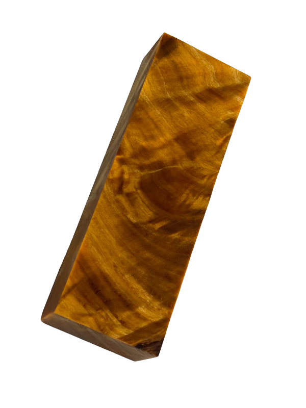 Flame Poplar - Orange