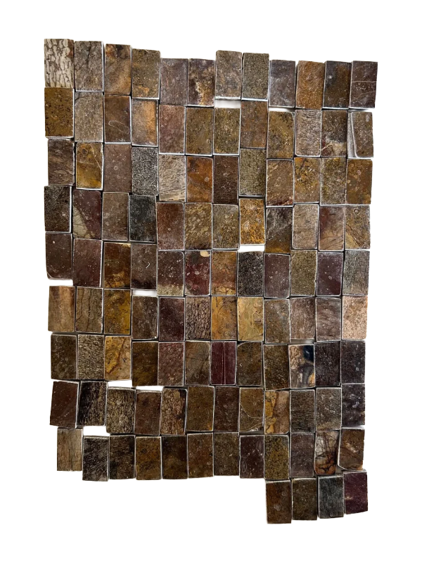 Dinosaur Fossil Holkbit 20x35x20mm
