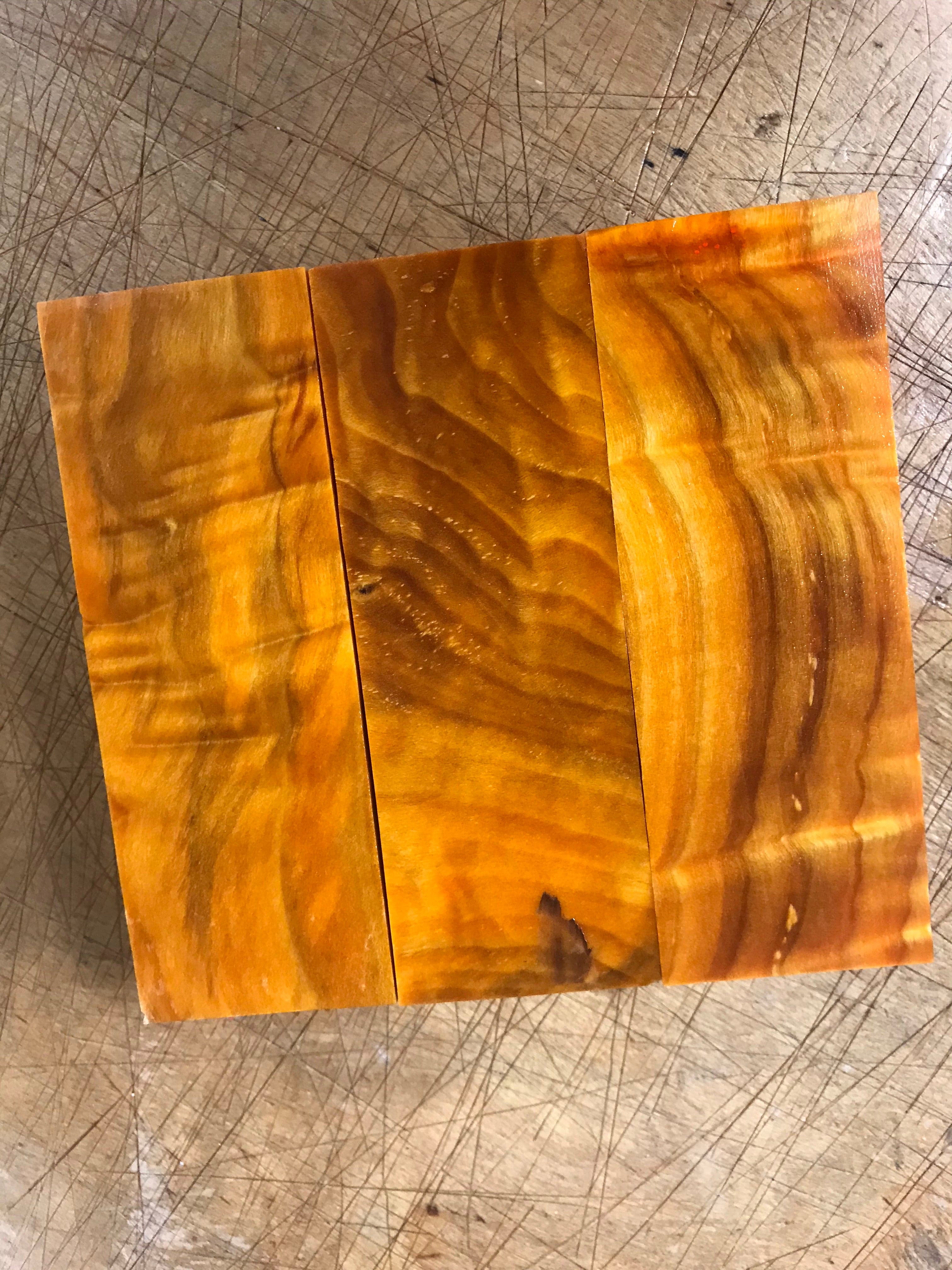Flame Poplar - Orange
