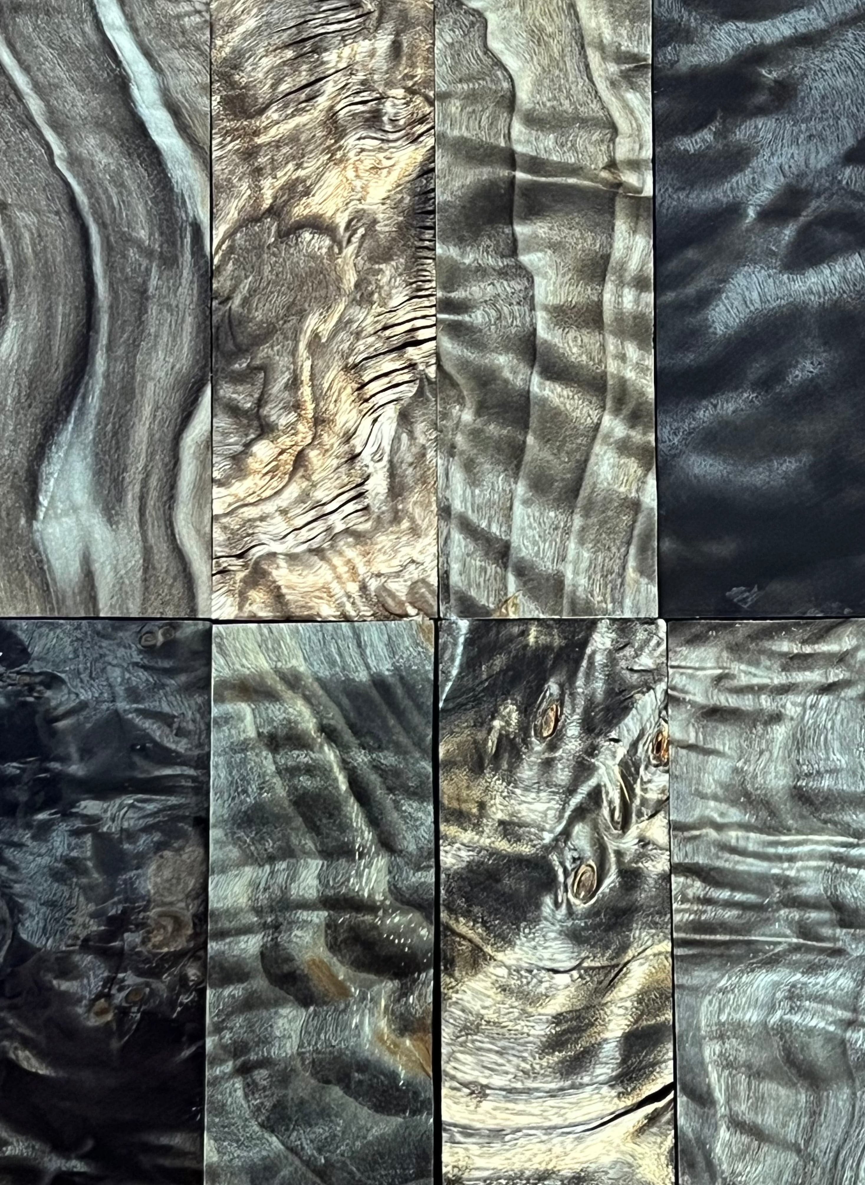 Flame poplar - Black
