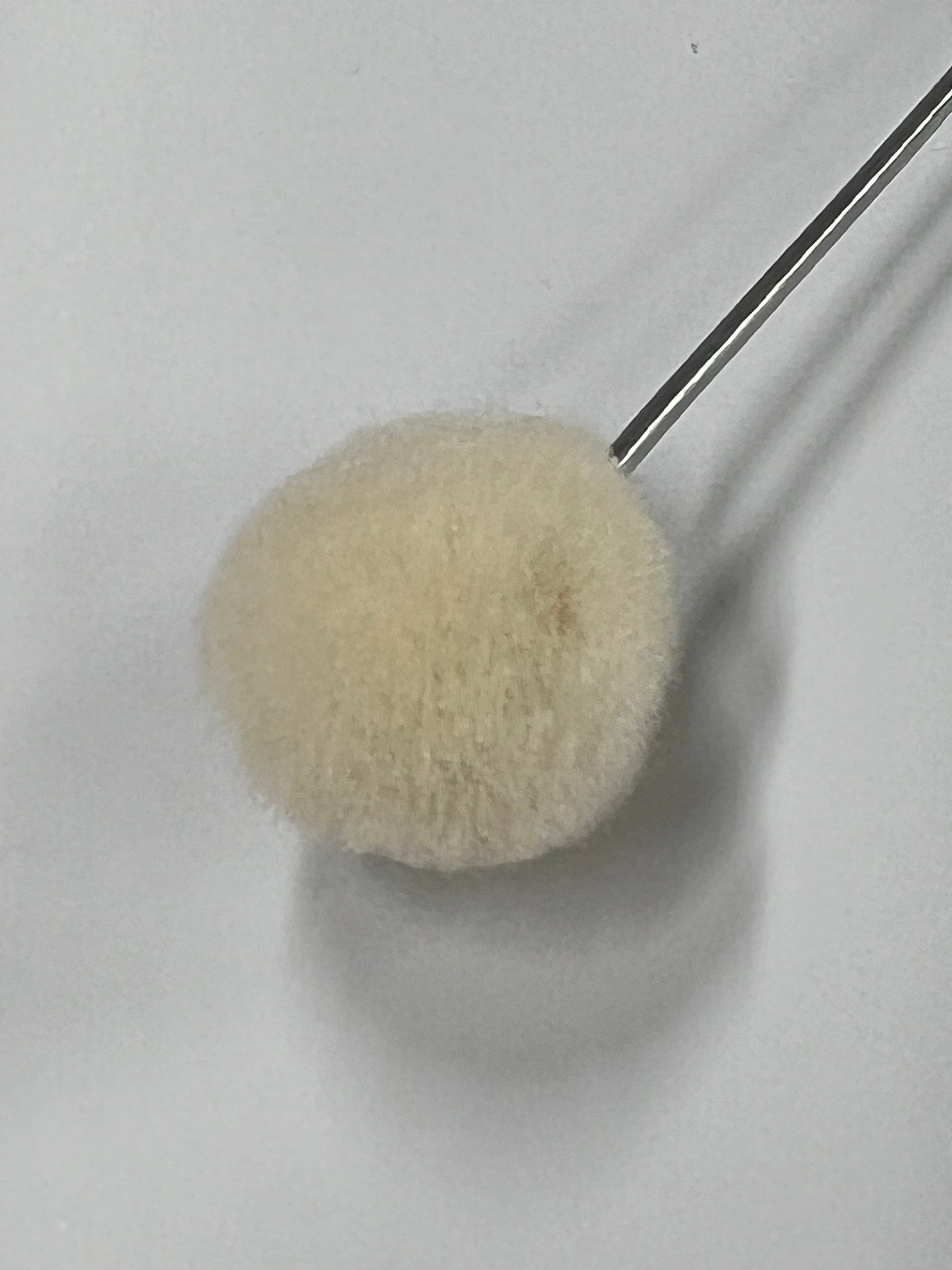 Wool brush 20mm for dyeing leather (10pk)