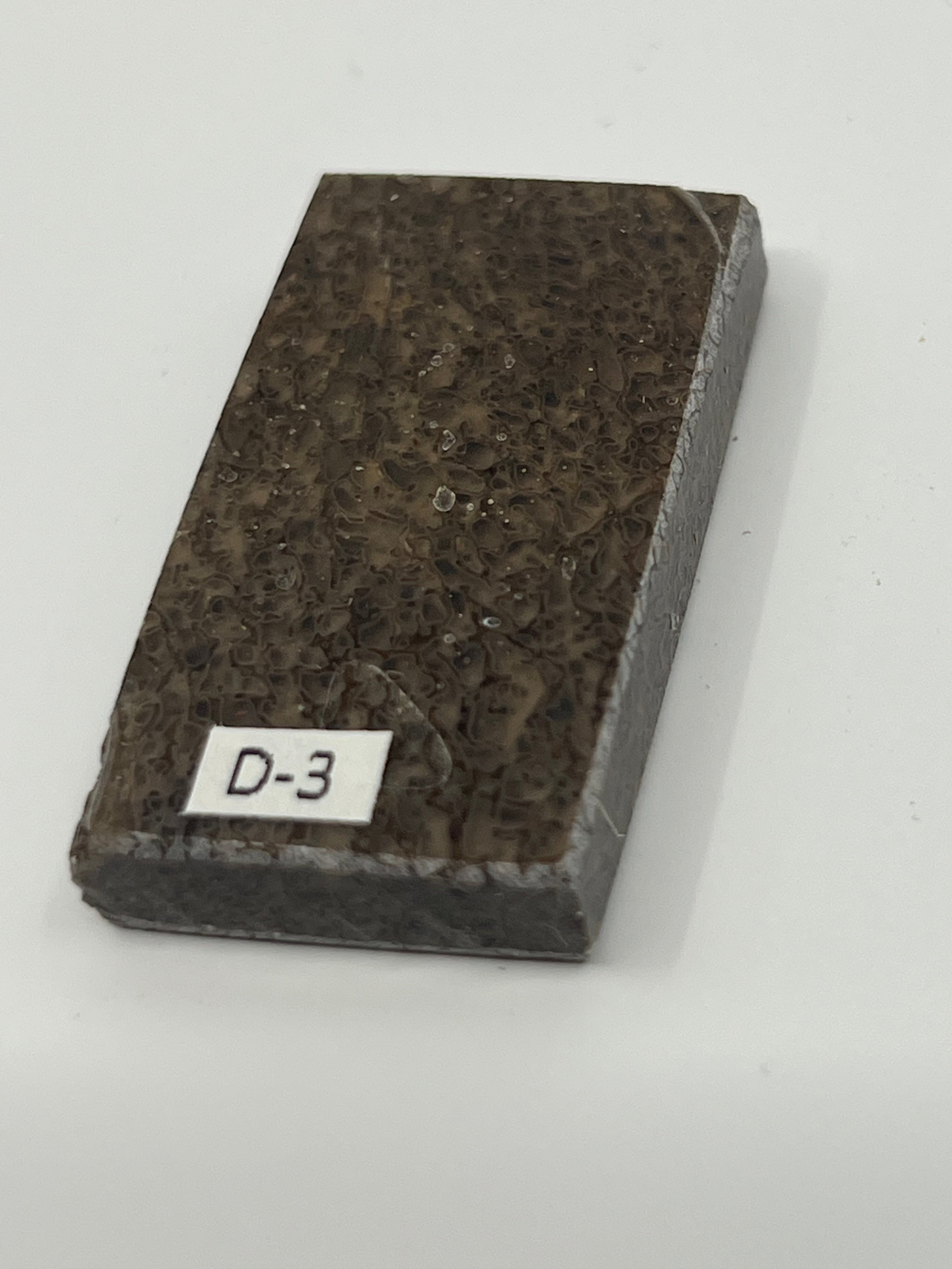 Dinosaur Fossil D3