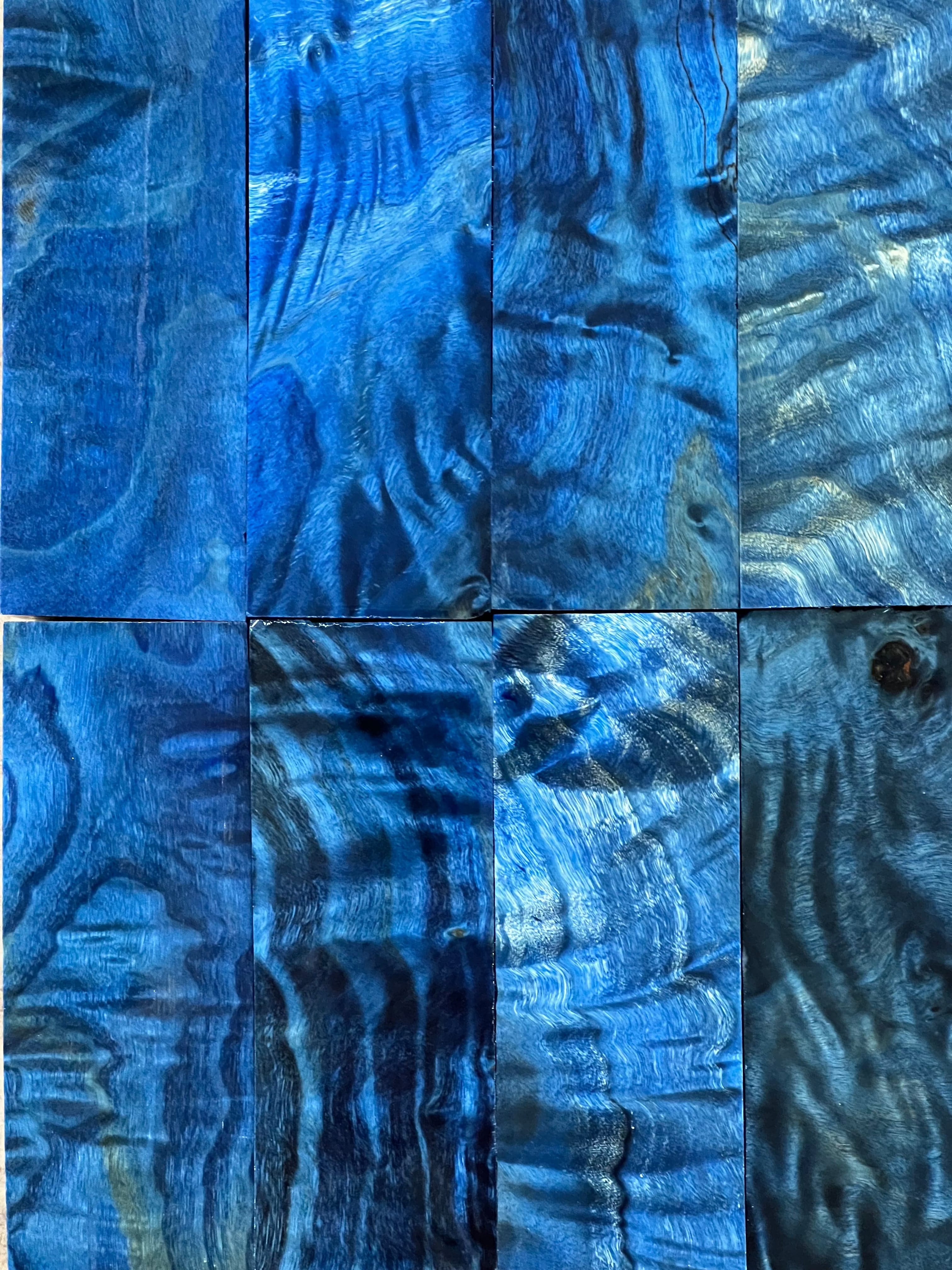 Flame poplar - Blue