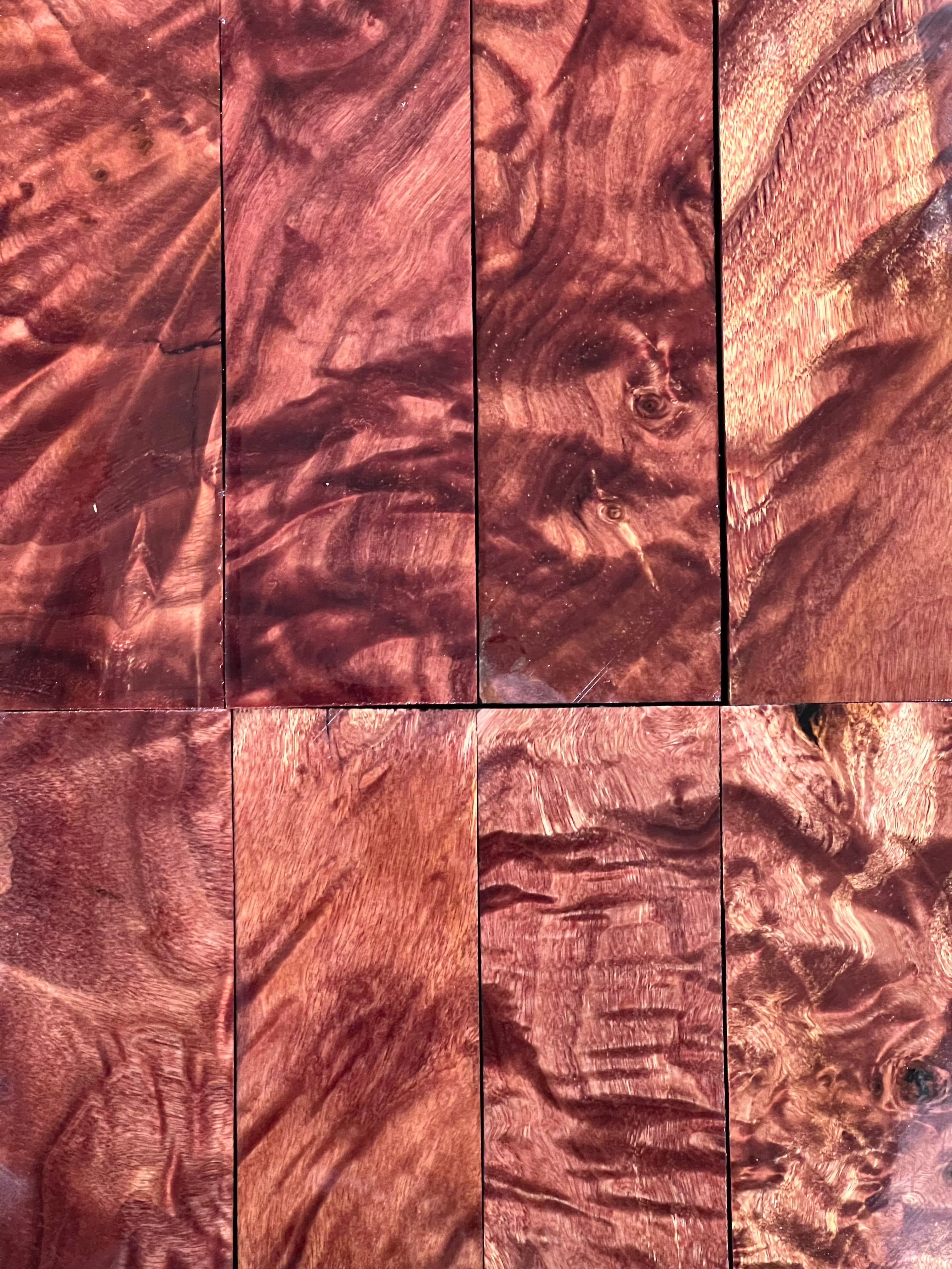 Flame poplar - Brown