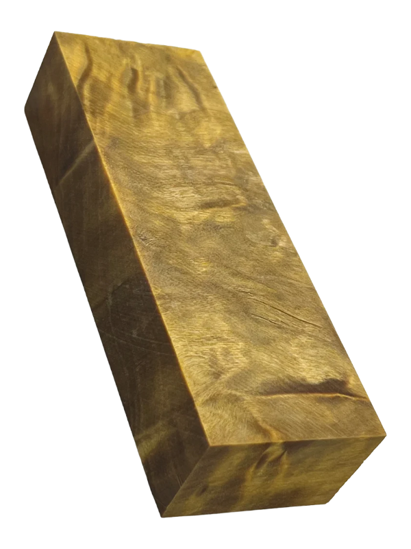 Flame Poplar - Yellow