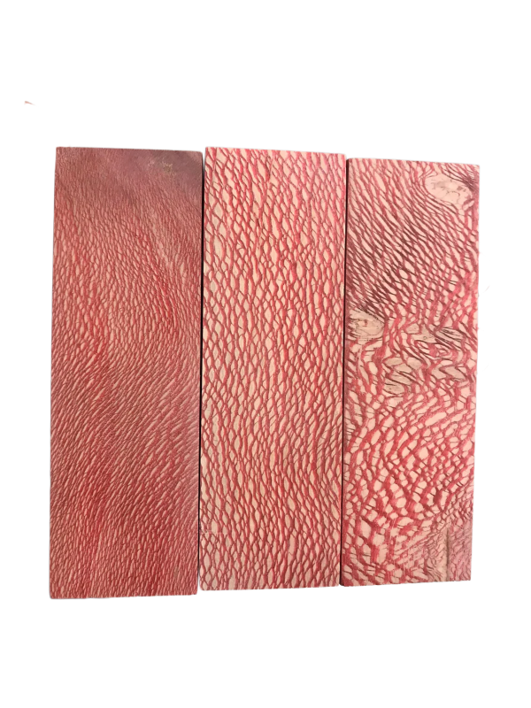 Sycamore - Red