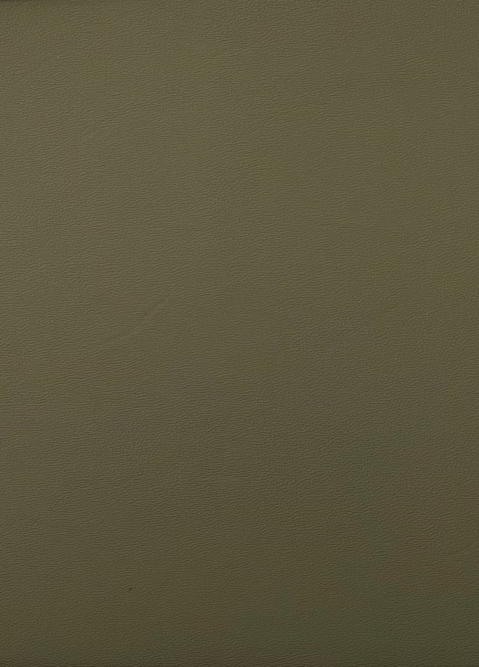 Army green Kydex