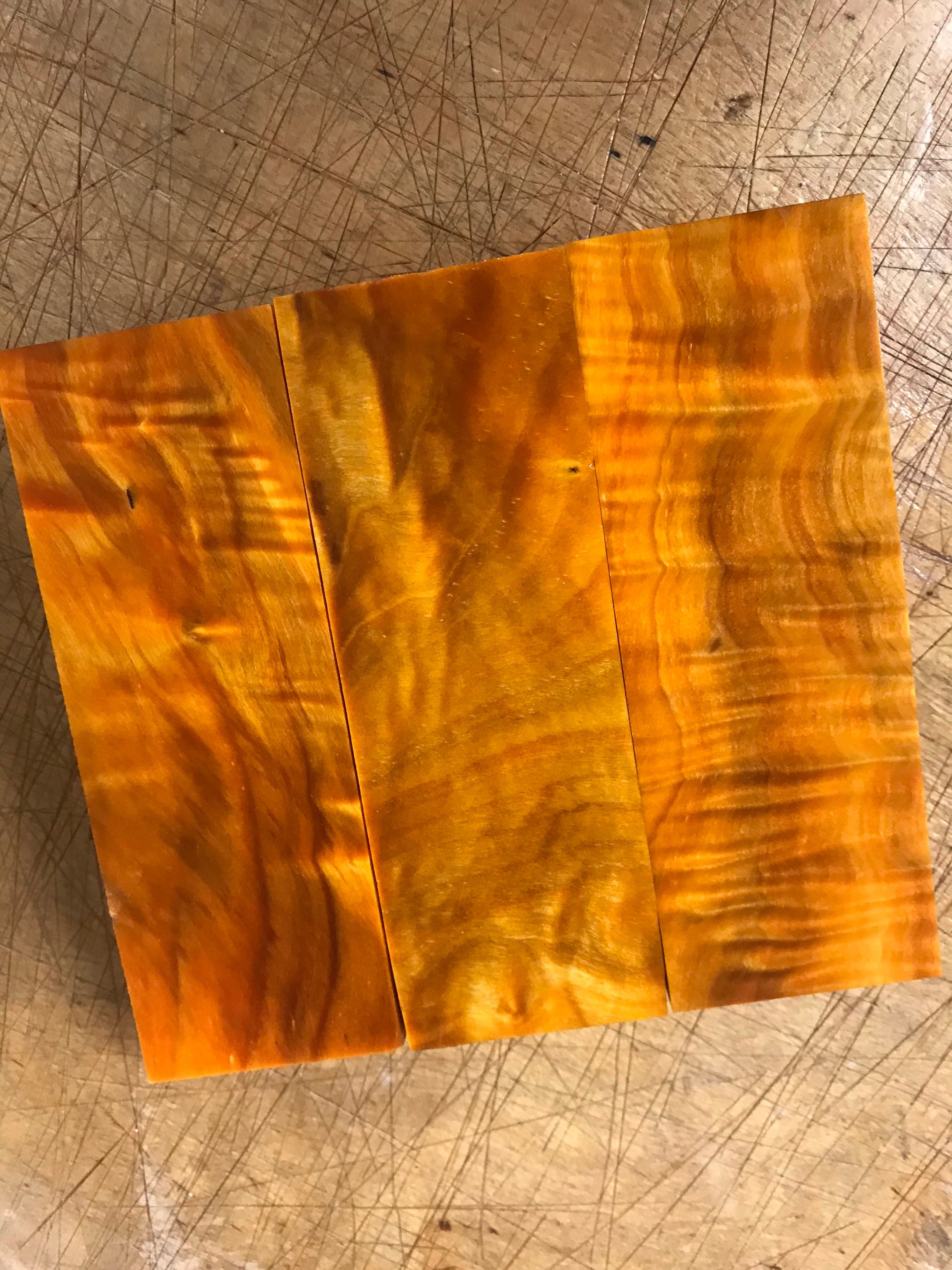 Flame Poplar - Orange