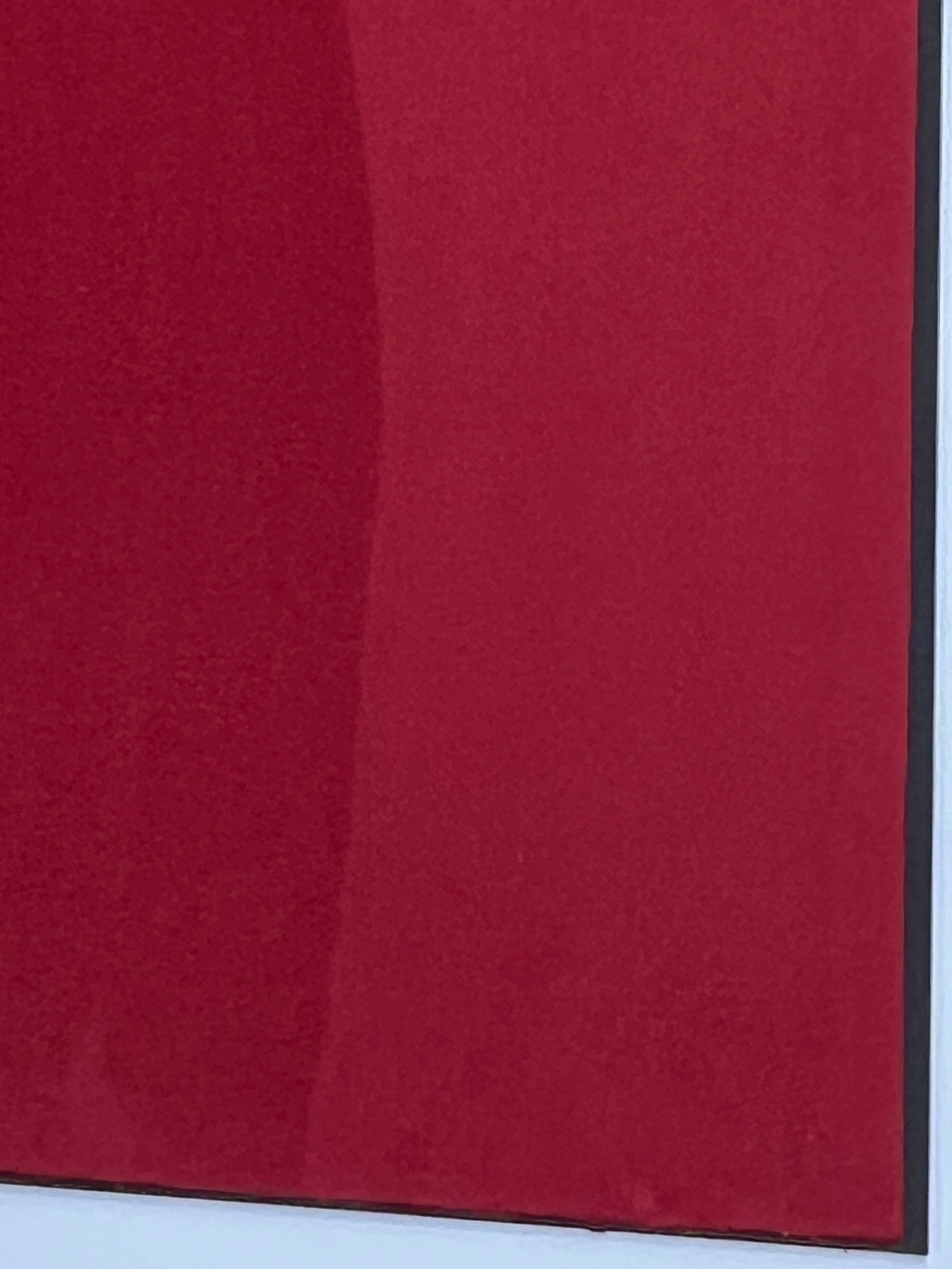 Kydex Suede Red