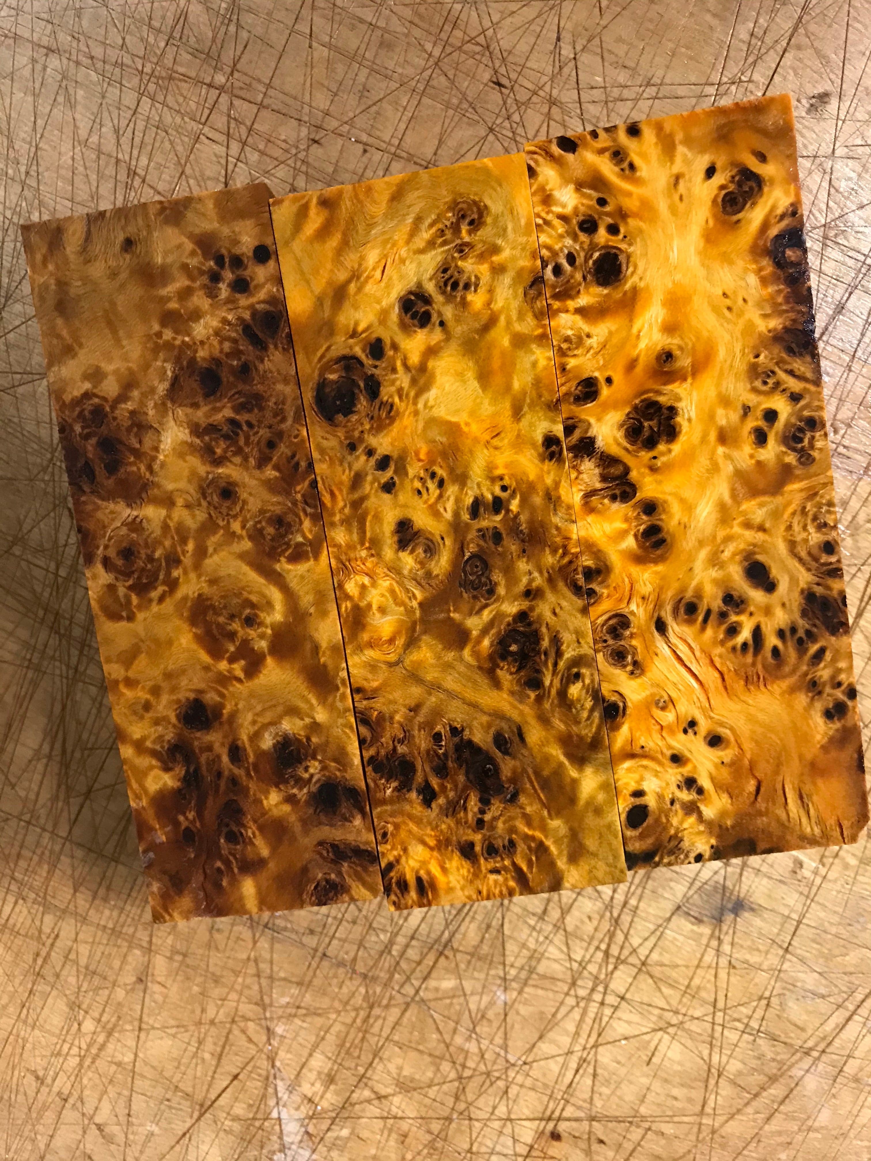Poplar knot - Orange